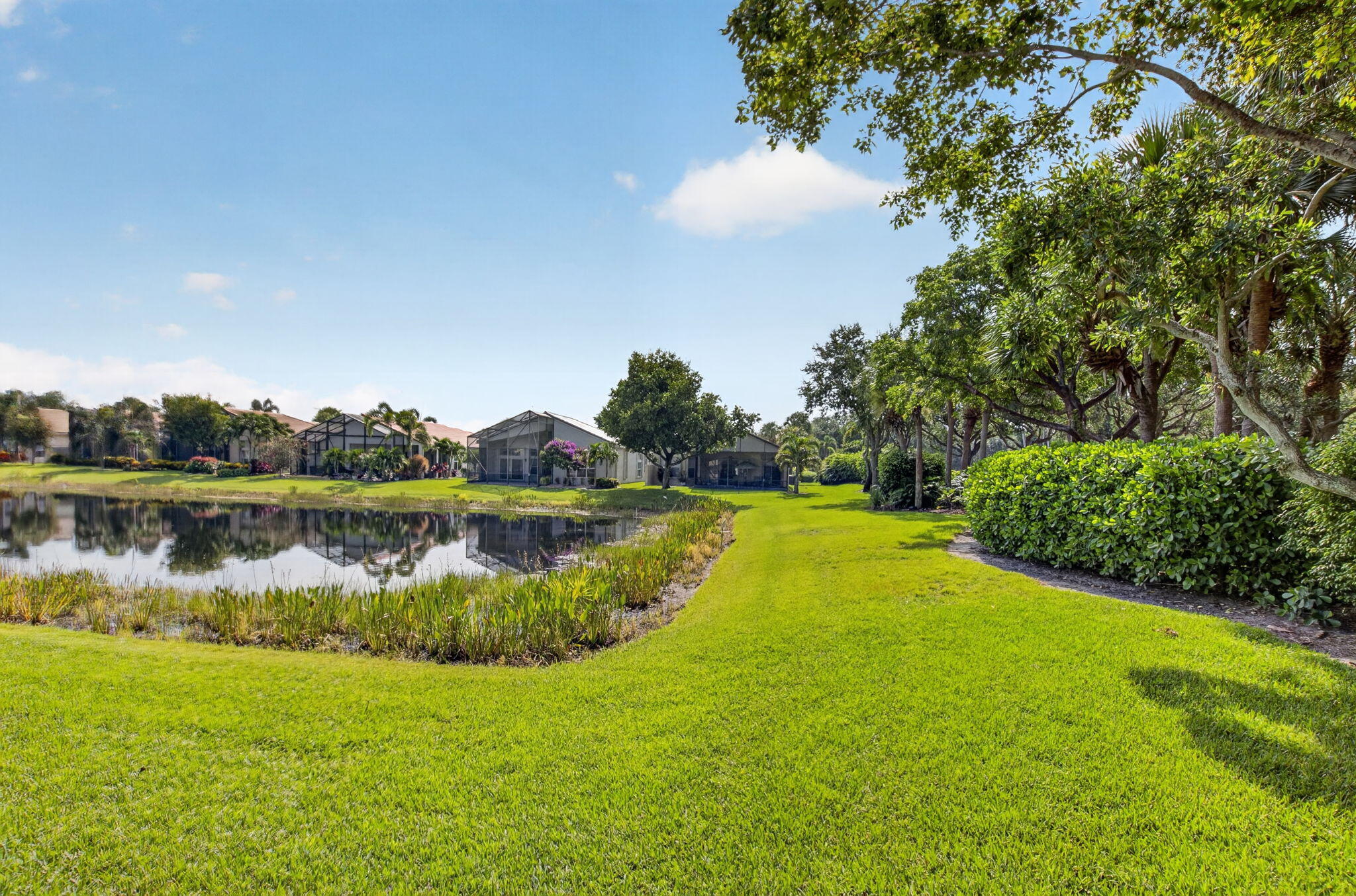 VALENCIA PALMS 4 - Residential