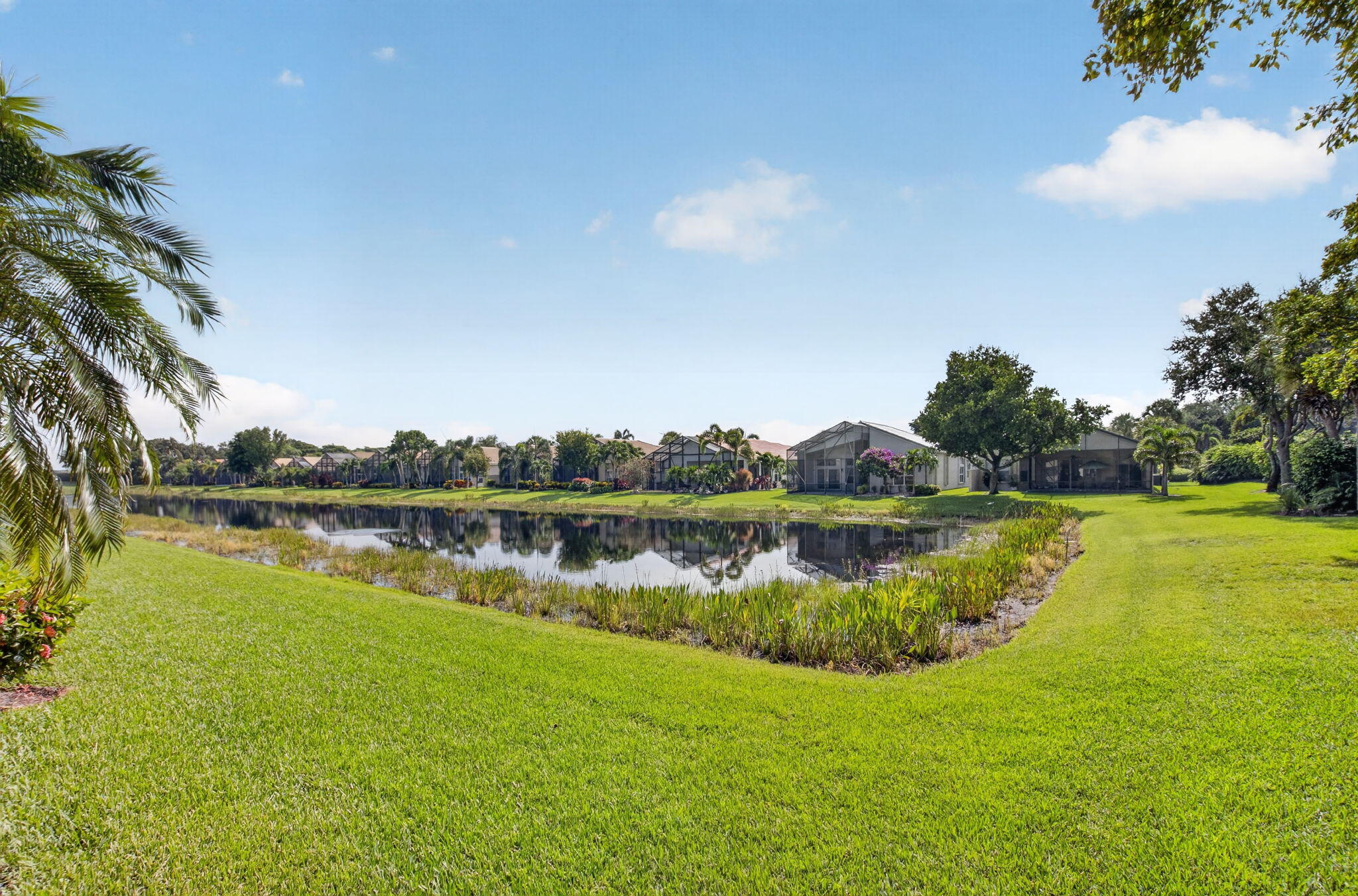 VALENCIA PALMS 4 - Residential