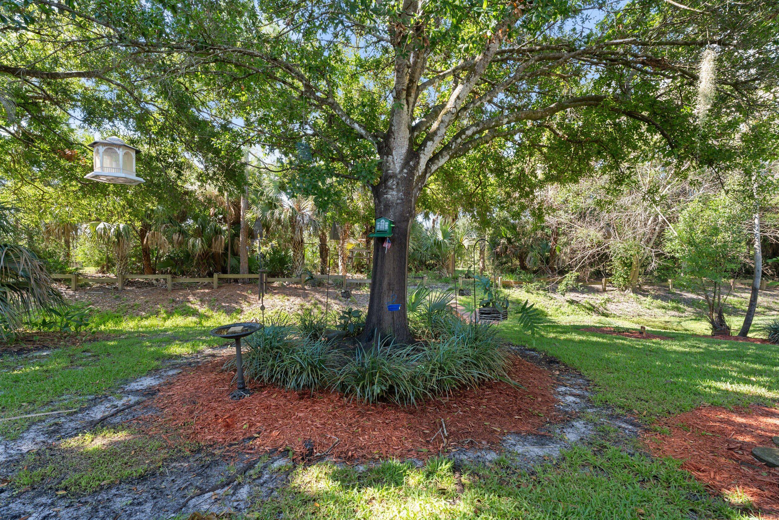 SABAL PALM ESTATES (AKA TIBURON) - Residential