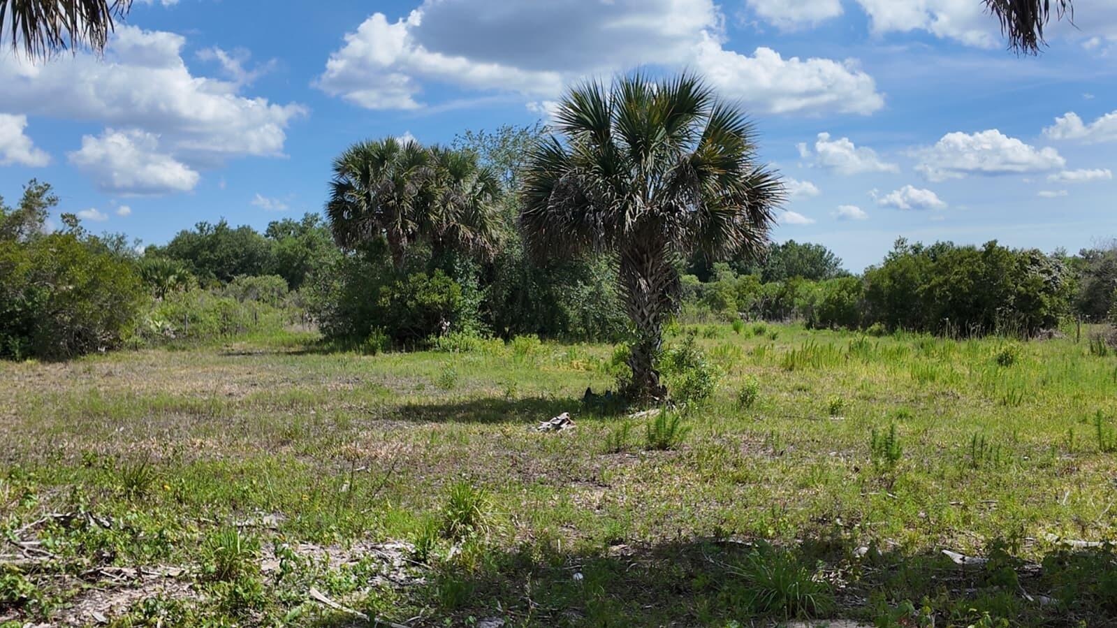 Excellent opportunity to own 1.25 acres in Okeechobee! This partially cleared property is fully fenced and already has an established entrance, with only a gate needed for complete privacy. Located outside of a flood zone, this versatile lot offers endless possibilities for residential or agricultural use. Zoning allows for a single-family home, mobile home, or agricultural activities, making it ideal for a primary residence, weekend retreat, or investment property. Enjoy peaceful country living with plenty of space for animals, farming, recreational vehicles, boats, or future improvements. Don't miss the chance to own a spacious and usable lot in a growing area of Okeechobee.