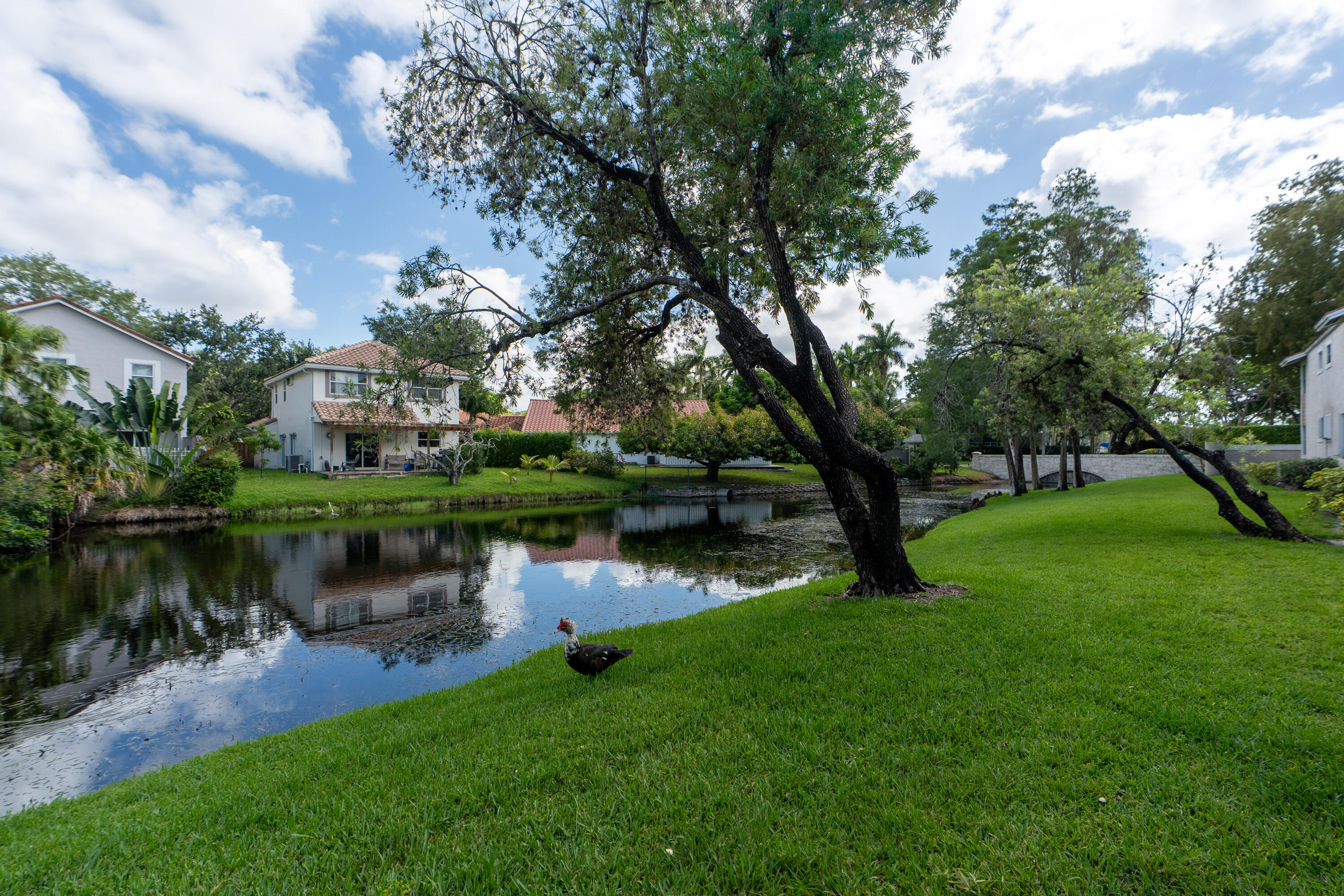 QUATRAINE AT JACARANDA GARDENS - Residential