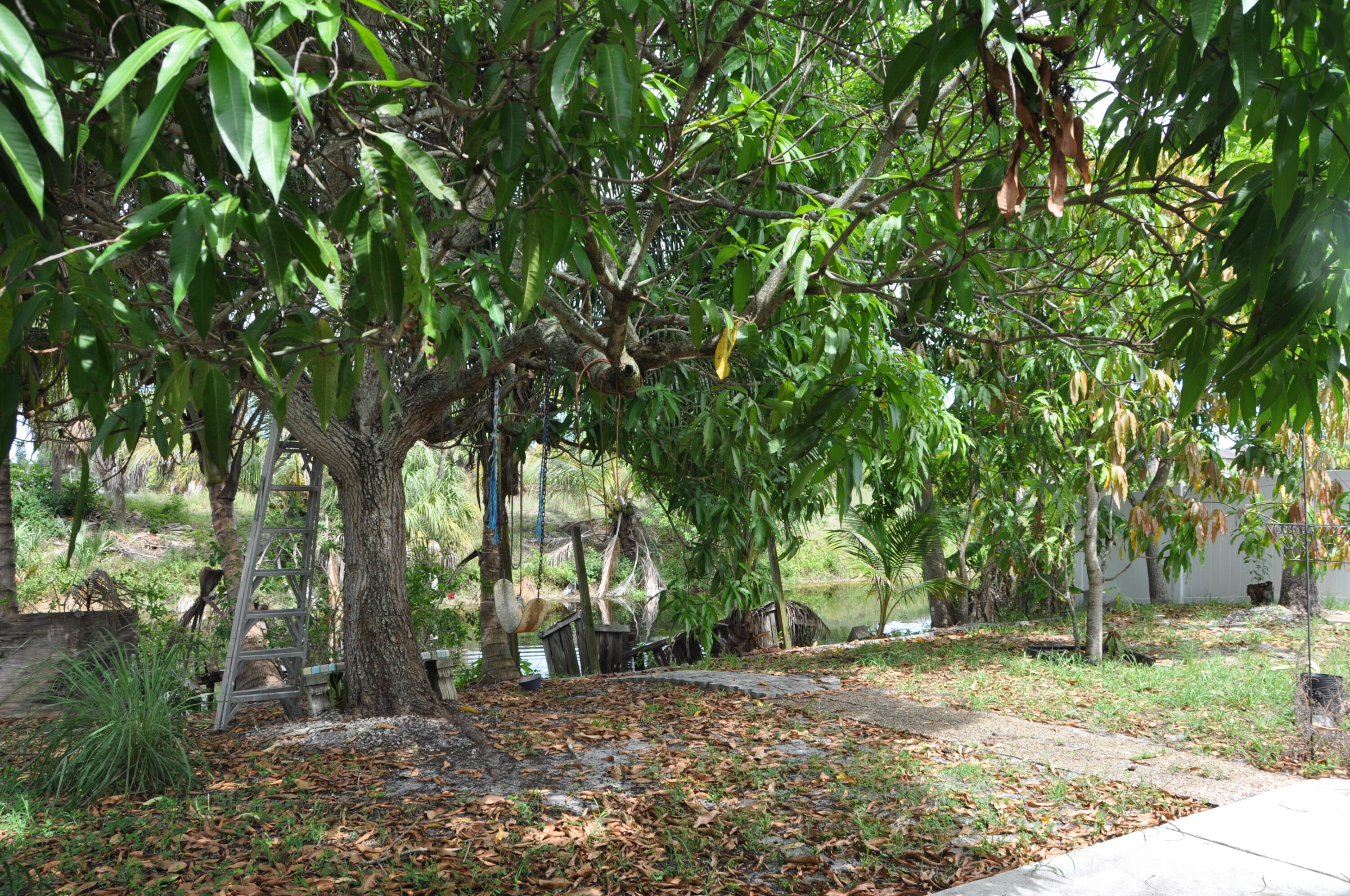 BURNHAM WOODS - Residential