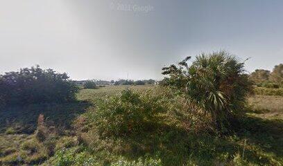 This is an Empty Lot in SouthWood subdivision of LeHigh Acres. A great opportunity to build your Dream Home. *Buyers must do their own due diligence for zoning, permitting, land use, utilities, Ect.*
