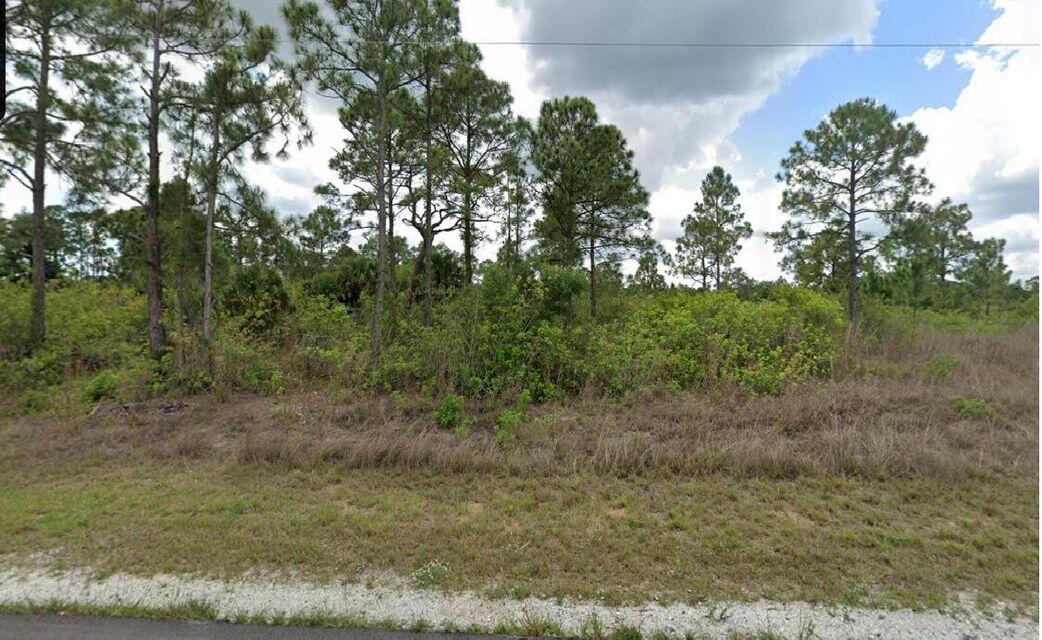 Buy your little piece of Sunshine on the West Coast of Florida.  Only 15 to 20 minutes to Fort Myers, but located in the Country.  Hear the birds sing, see squirrels, foxes, wild turkey in this area.  Look up at the sky at night and actually see the stars, maybe even the milky way. Leave the day to day rush behind you with this property, perfectly located.  No neighbors in front of you!  Only minutes to shopping at the local stores with Publix and Winn-Dixie just minutes away.  Like eating out, great, there are restaurants on the main drive just 12 minutes away.  Few larger trees in front with bare ground at rear.  Little clearing for the few trees that there are.  If you are combining a package with a builder this could be the one as owner will consider FHA / VA financing with build.