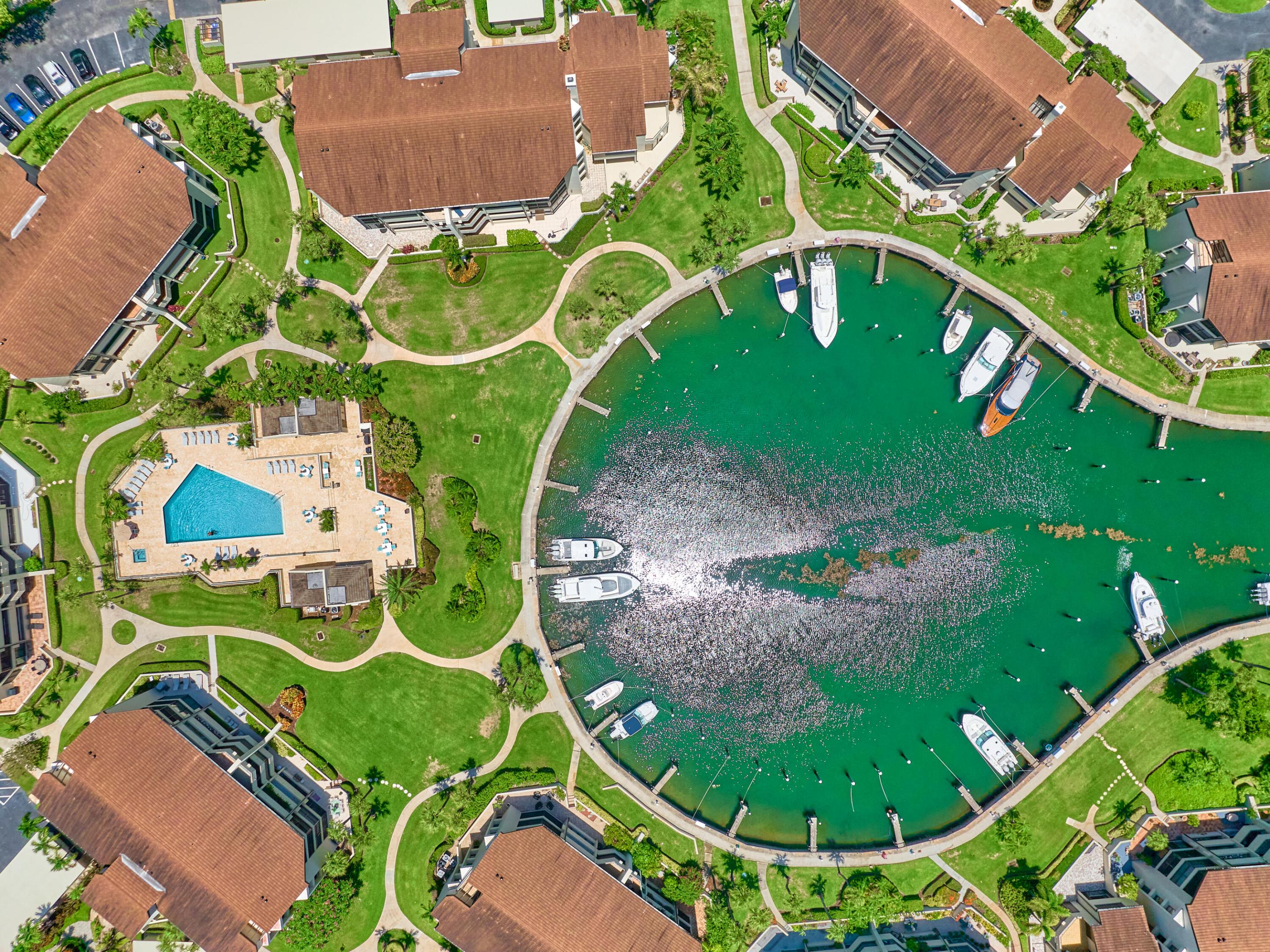 OLD PORT COVE HARBOR VILLAGE CONDO - Residential