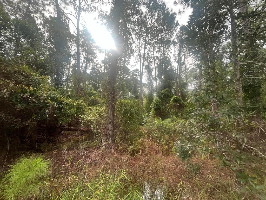 PARADISE LAKES SUB - Land