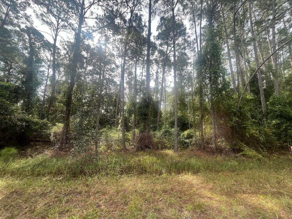 Owner financing available! Country living at its finest! Come see this beautiful 0.23-acre recently mulched lot located in the desirable Georgetown area. Perfect for building your dream home or bringing a manufactured home. Residents enjoy access to the St. Johns River Rod & Reel Club, complete with a boat ramp, fishing pier, and access to Lake George. Spend your days boating and fishing on the river and lake, or swimming in the crystal-clear waters of Salt Springs and Silver Glen Springs. Don't miss this opportunity to own a slice of Florida paradise! Buyer to verify all property details including zoning, utilities, land use, and building requirements. All information deemed reliable but not guaranteed.