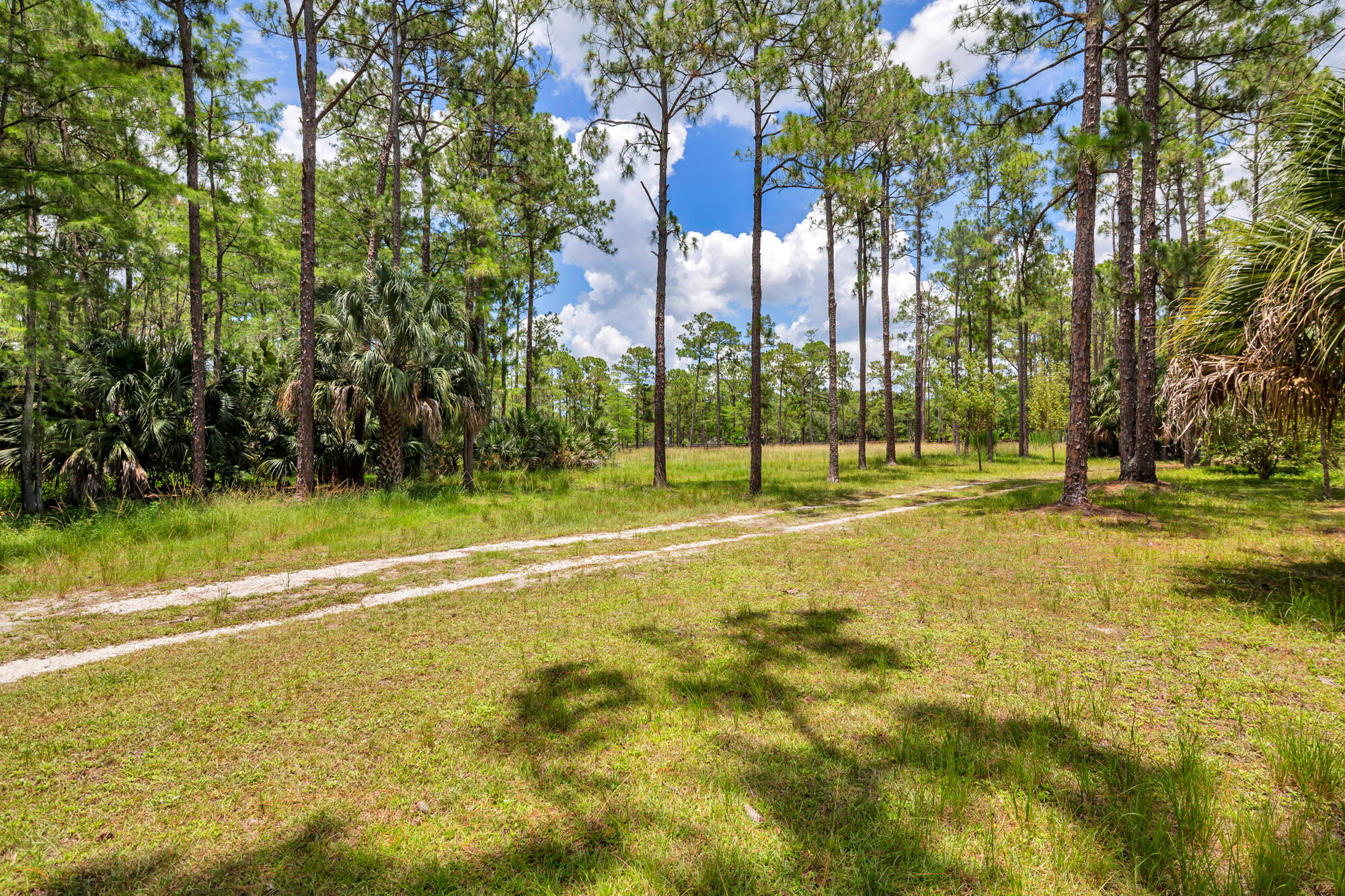 CALOOSA - Land