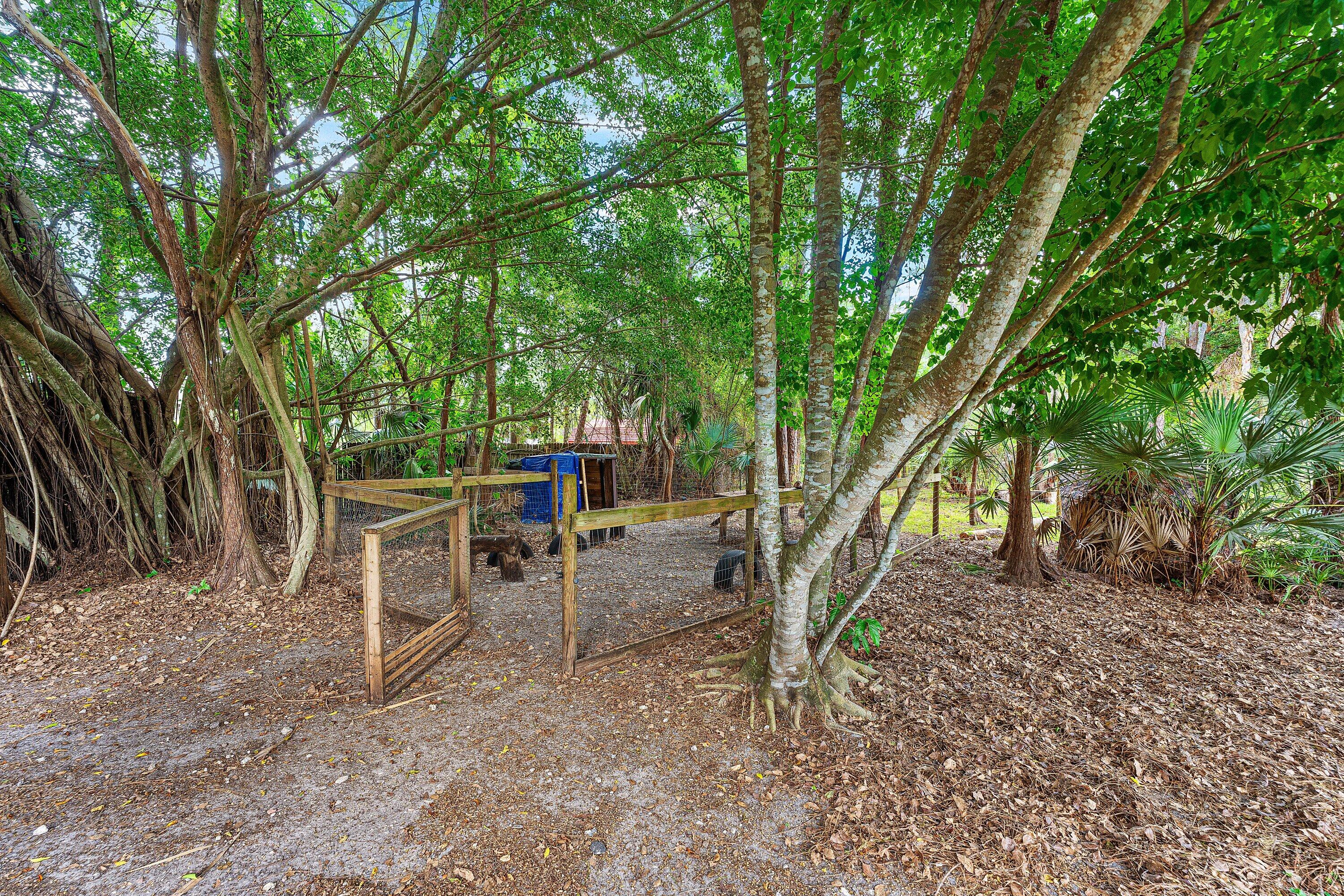 The Acreage - Residential