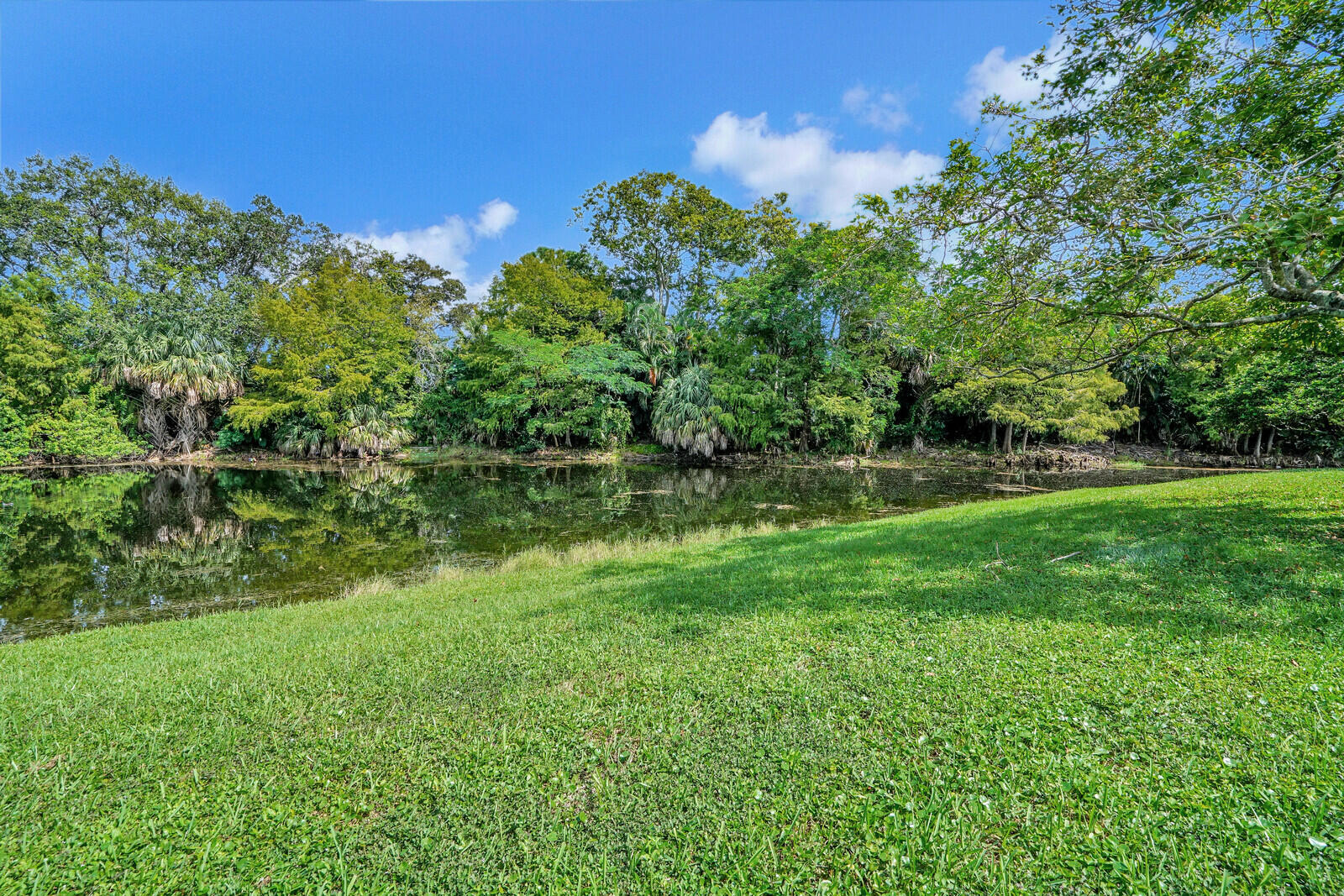 ISLAND OF RIVER BRIDGE - Residential Lease