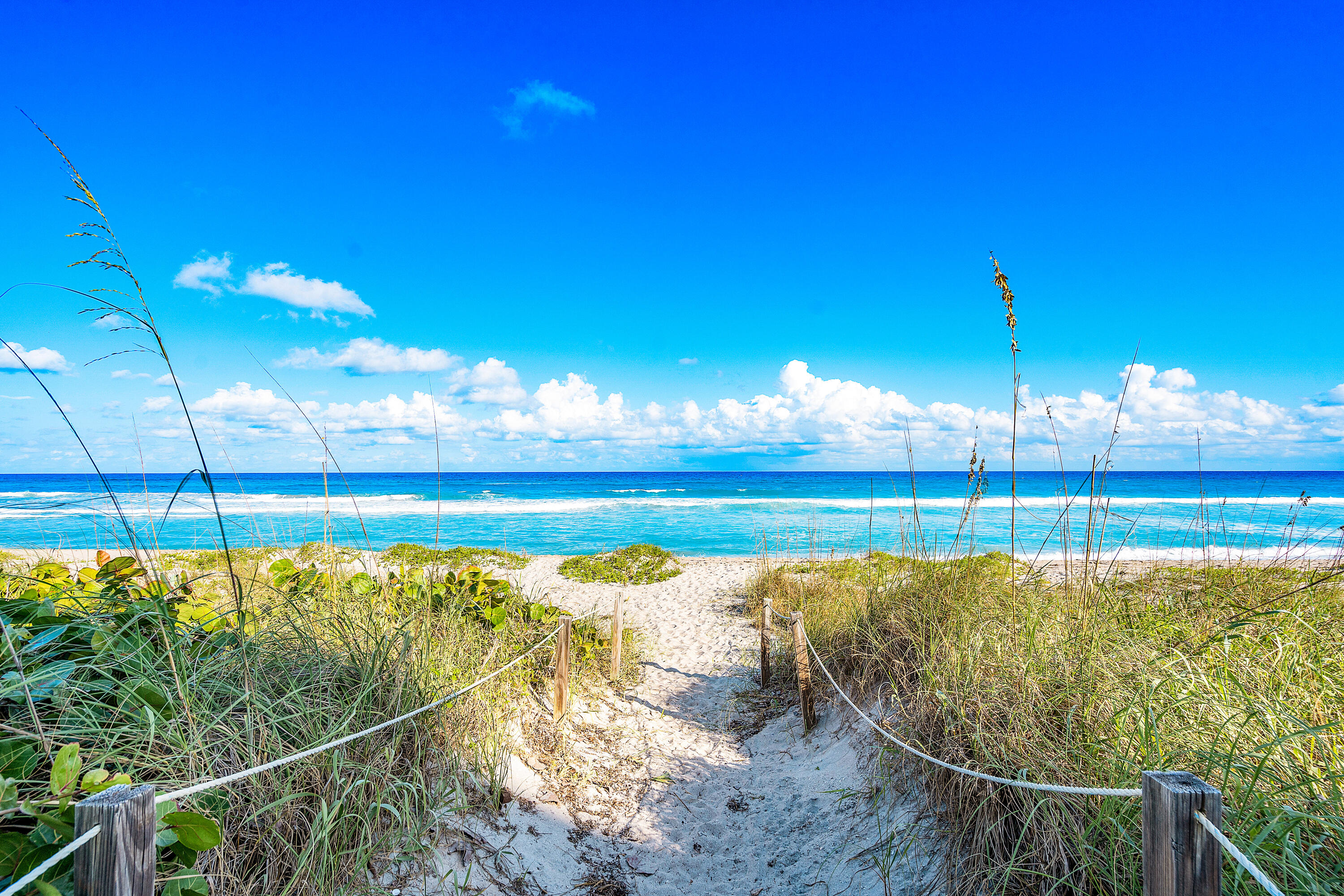 REGENCY OF PALM BEACH INC - Residential