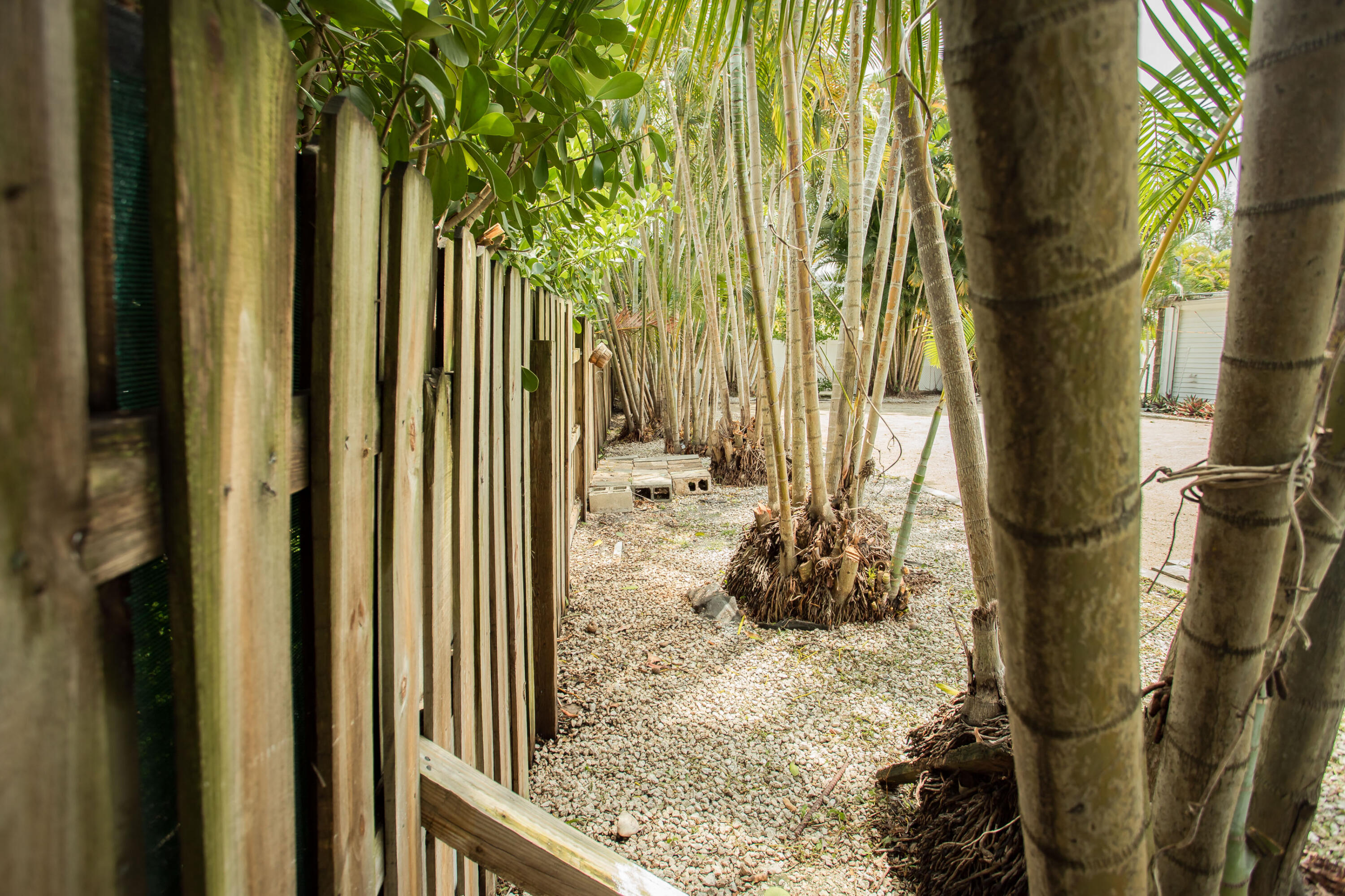 FLA-MANGO GROVELETS - Residential