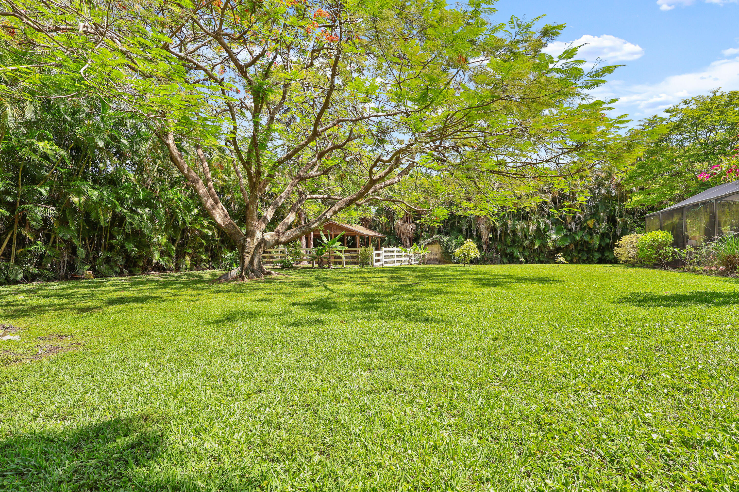 Pinetree Estates - Residential