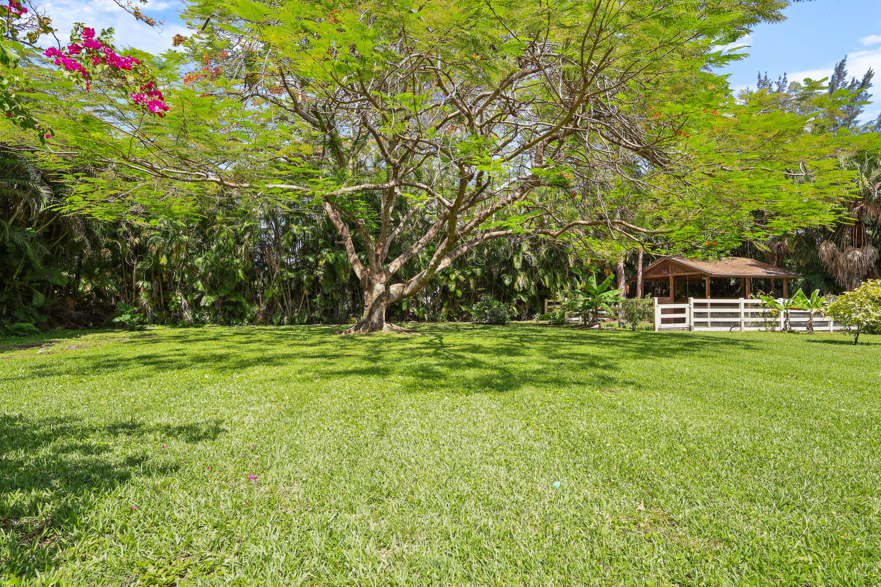 Pinetree Estates - Residential
