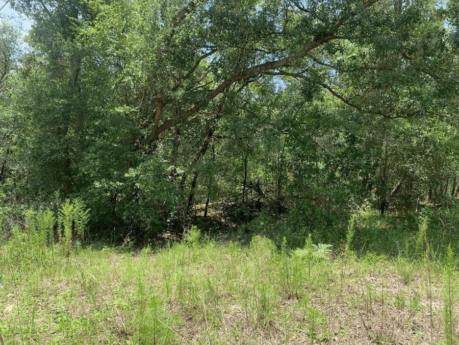 Live in Putnam County on a quiet street. Mobile homes allowed!Owner finance with only $1,500 down