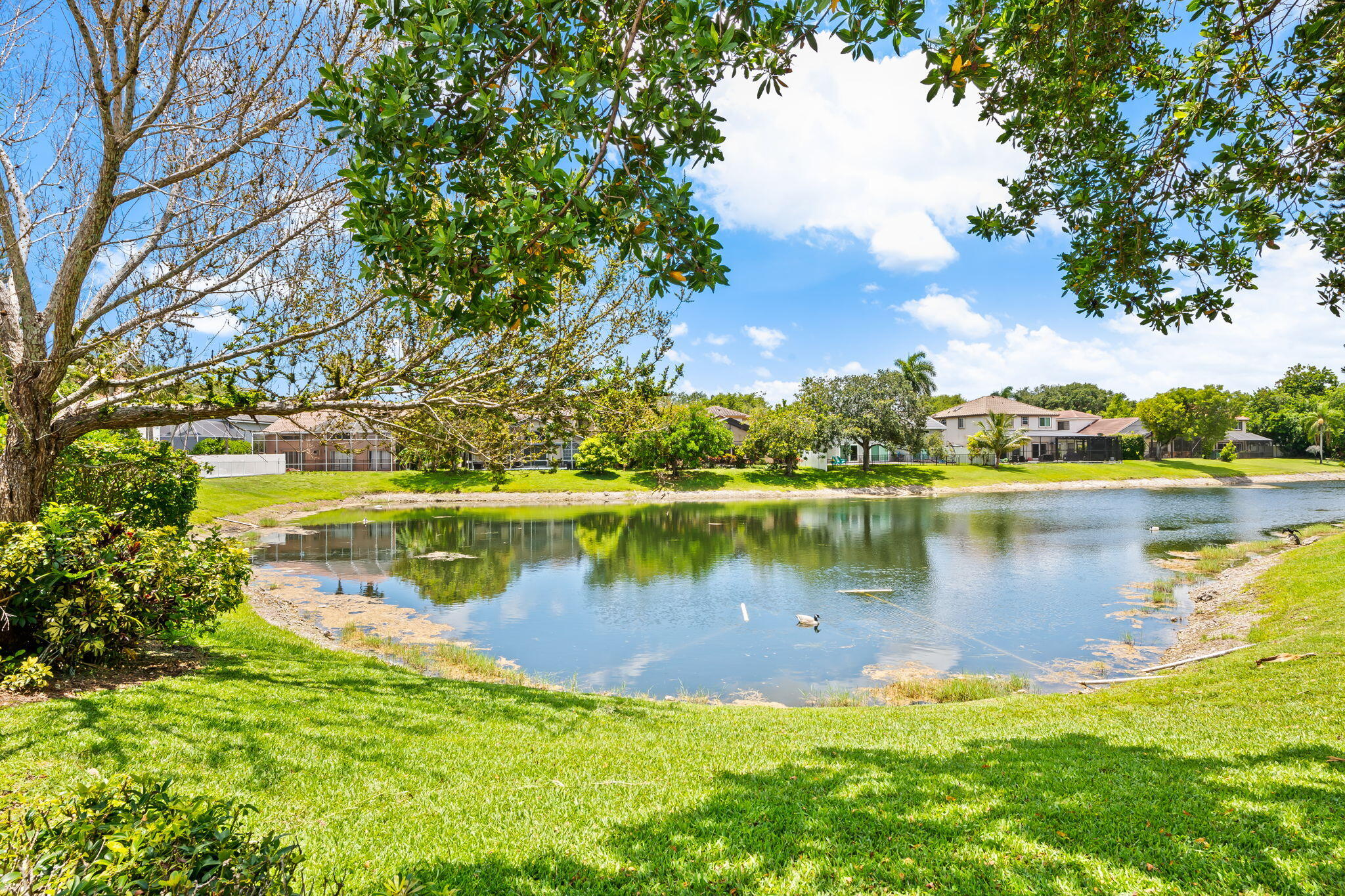 COUNTRYS POINT - Residential