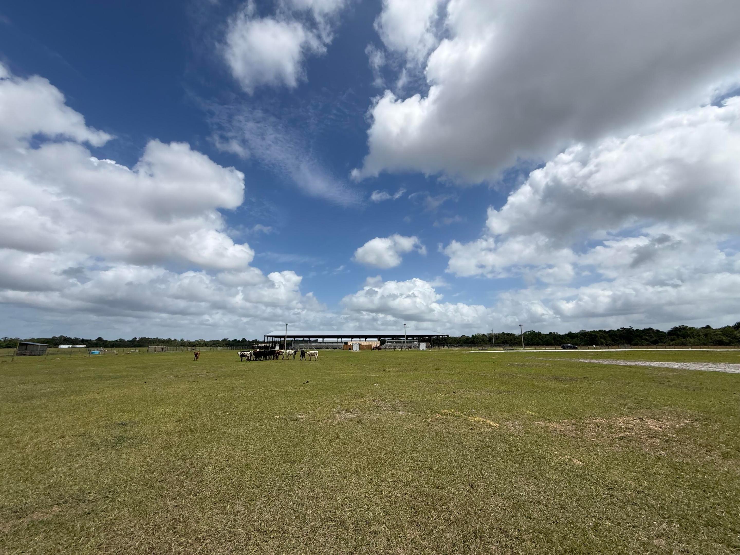 LAKE MONTAZA ESTATES SECTION - Land