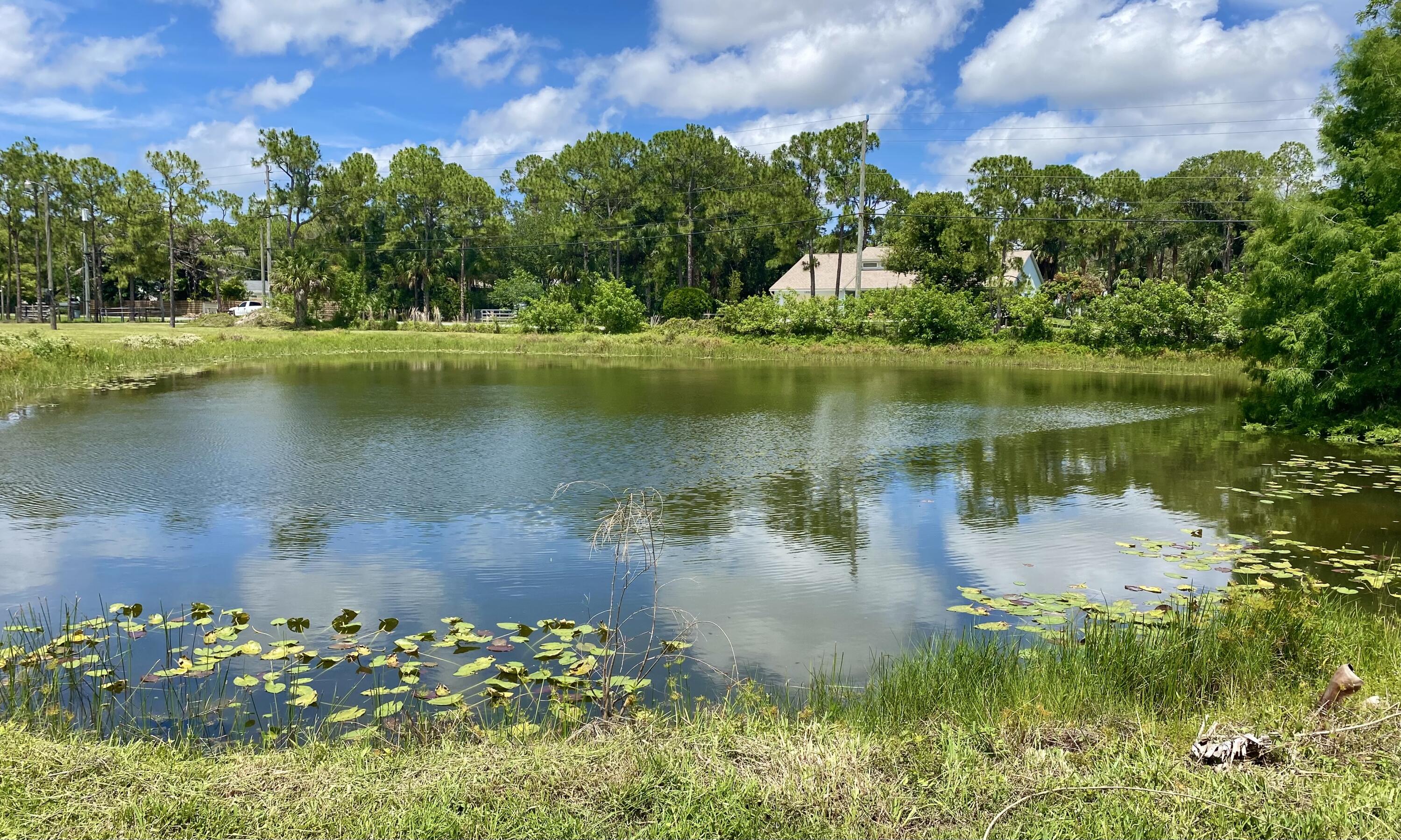 JUPITER FARMS - Residential