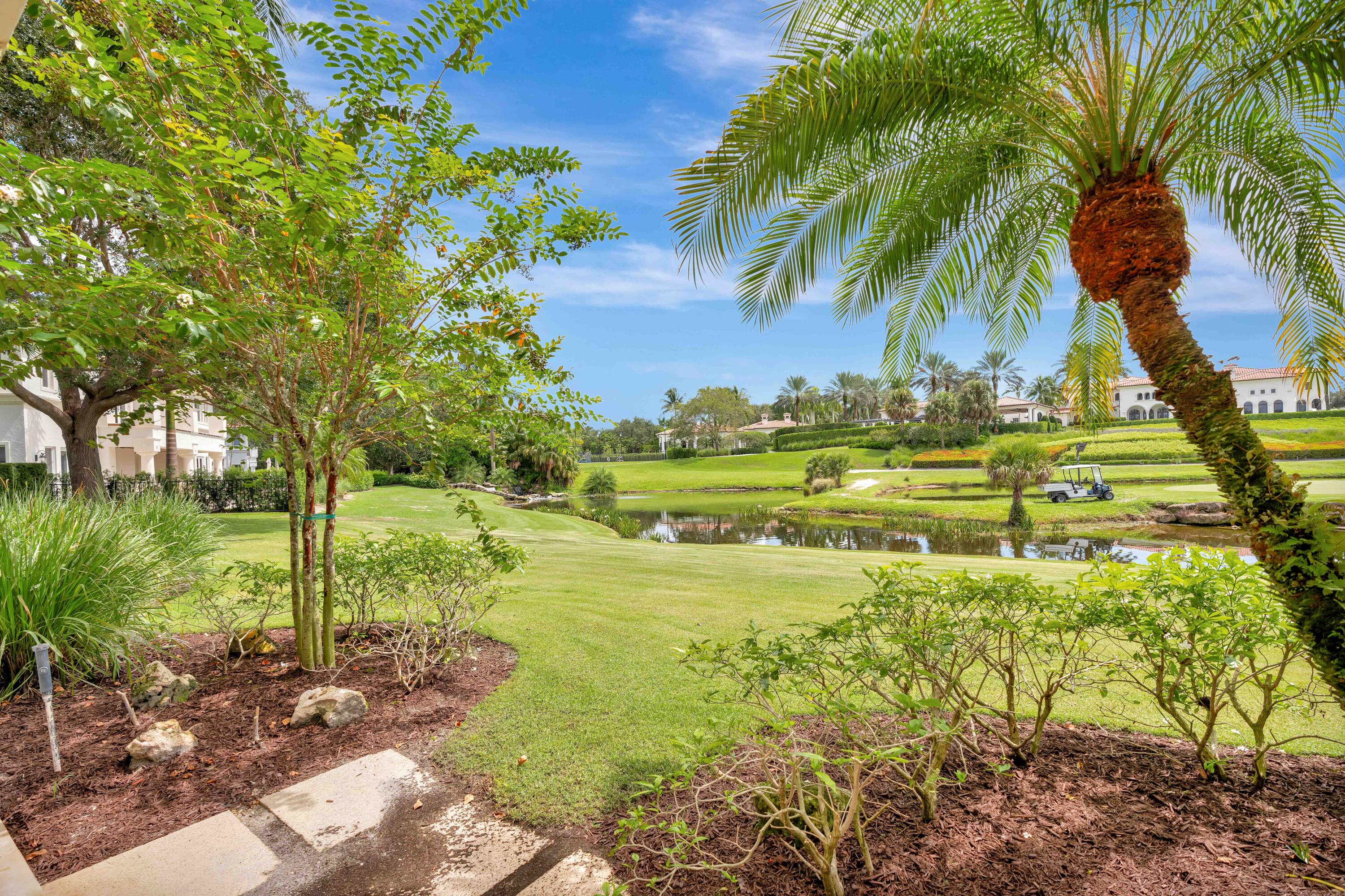 OLD PALM 5 - Residential