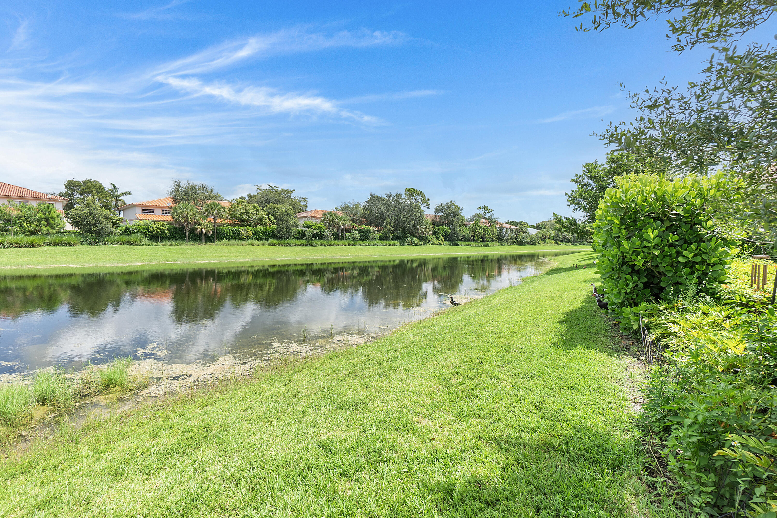 CORAL LAGO - Residential