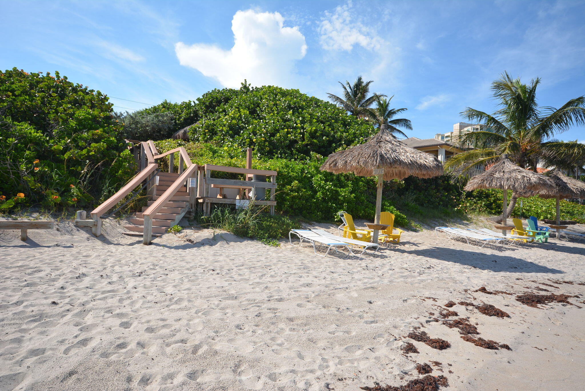 REGENCY HIGHLAND CLUB CONDO - Residential