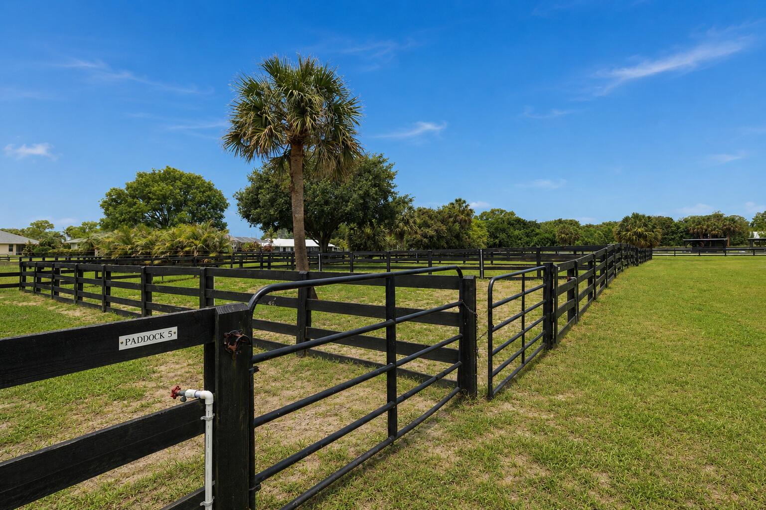 PALM BEACH LITTLE RANCHES EAST OF WELLINGTON - Residential