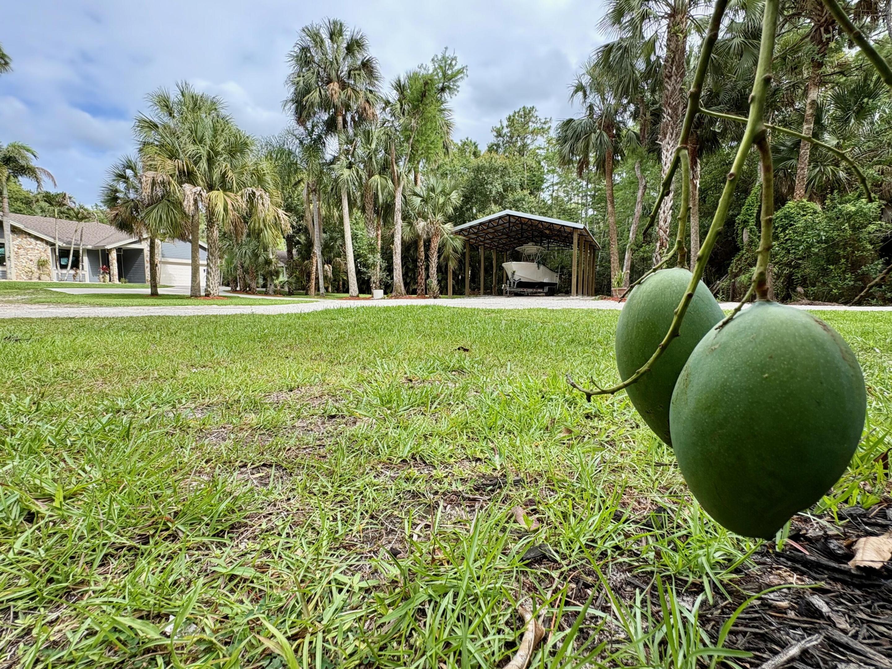 Jupiter Farms - Residential