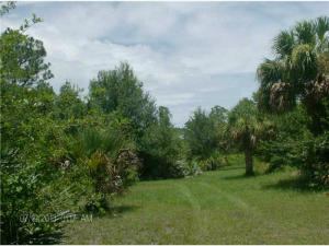 South Village - Land