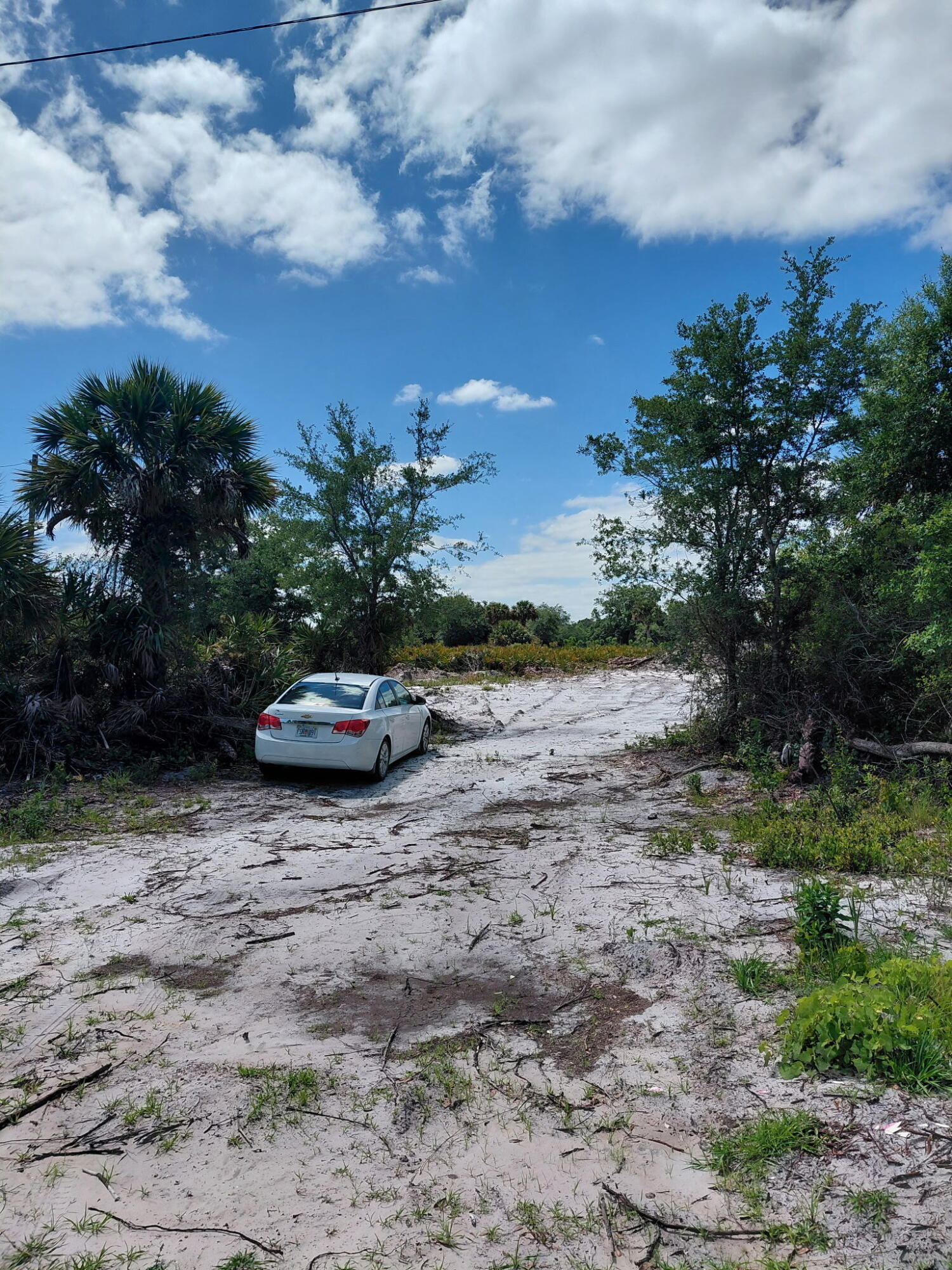 Escape to your own 1.25-acre paradise in the highly desirable Viking Estates! This high, dry parcel features a beautiful private pond, offering the perfect scenic backdrop for your dream homestead or weekend getaway. Located just minutes from the world-famous Kissimmee Prairie Preserve State Park, you will have front-row access to premier hiking, horseback riding, and unmatched stargazing in Florida's first Dark Sky Park. Bring your toys, your horses, and your vision—this rare gem offers endless potential for outdoor enjoyment and custom improvements! High & Dry: Premium high land with excellent buildable area and no flooding worries.Private Pond: Fully stocked, natural pond right on your property for fishing or scenic views.No HOA Restrictions: Absolute freedom to park your RV, boats, trailers, or build a custom workshop.Dark Sky Paradise: Located next to a recognized Dark Sky territory for breathtaking night skies.Outdoor Access: Direct proximity to Kissimmee Prairie Preserve for trail riding, hiking, and wildlife viewing.