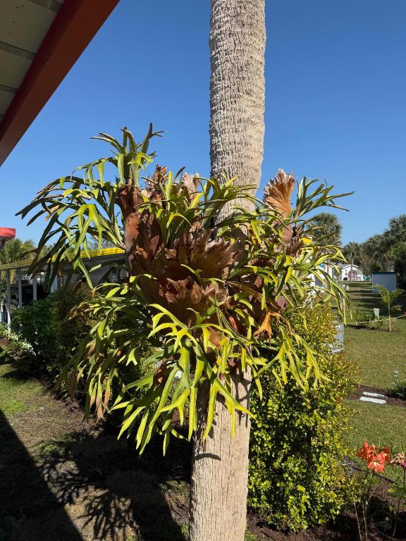 BLUE HERON MOBILE HOME PARK CO-OP - Residential