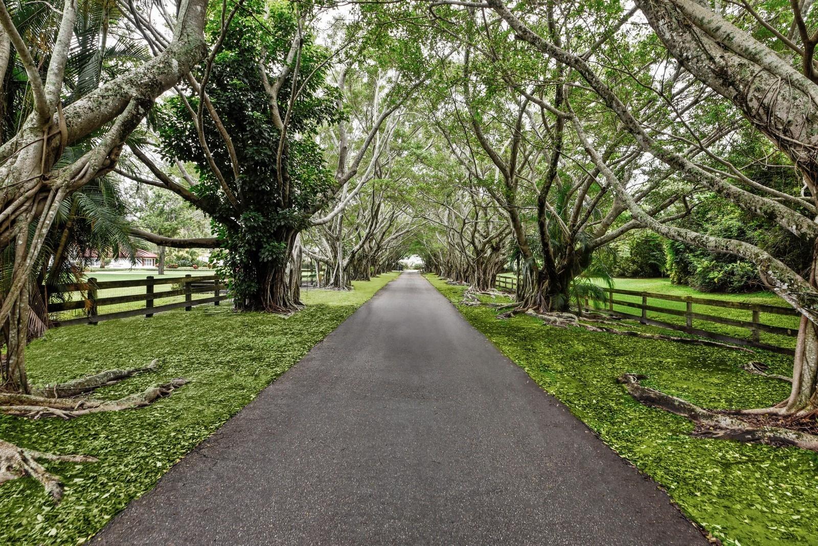 HORSESHOE ACRES - Residential