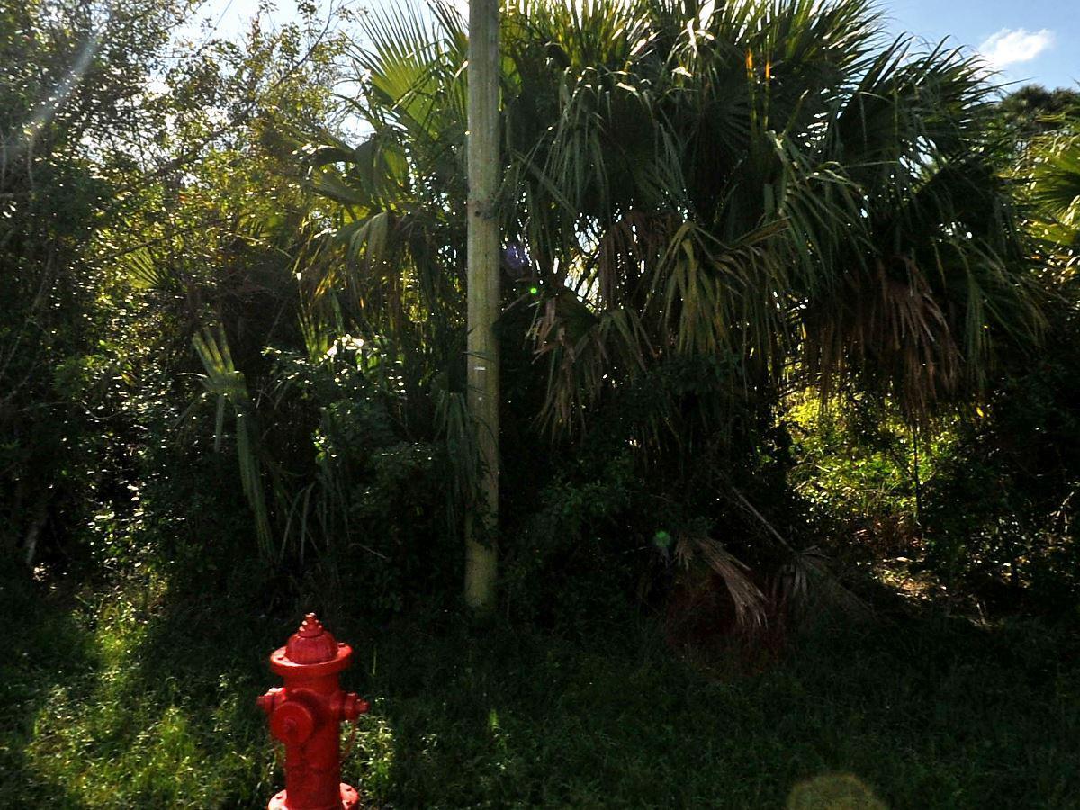 PORT ST LUCIE SECTION 21 - Land