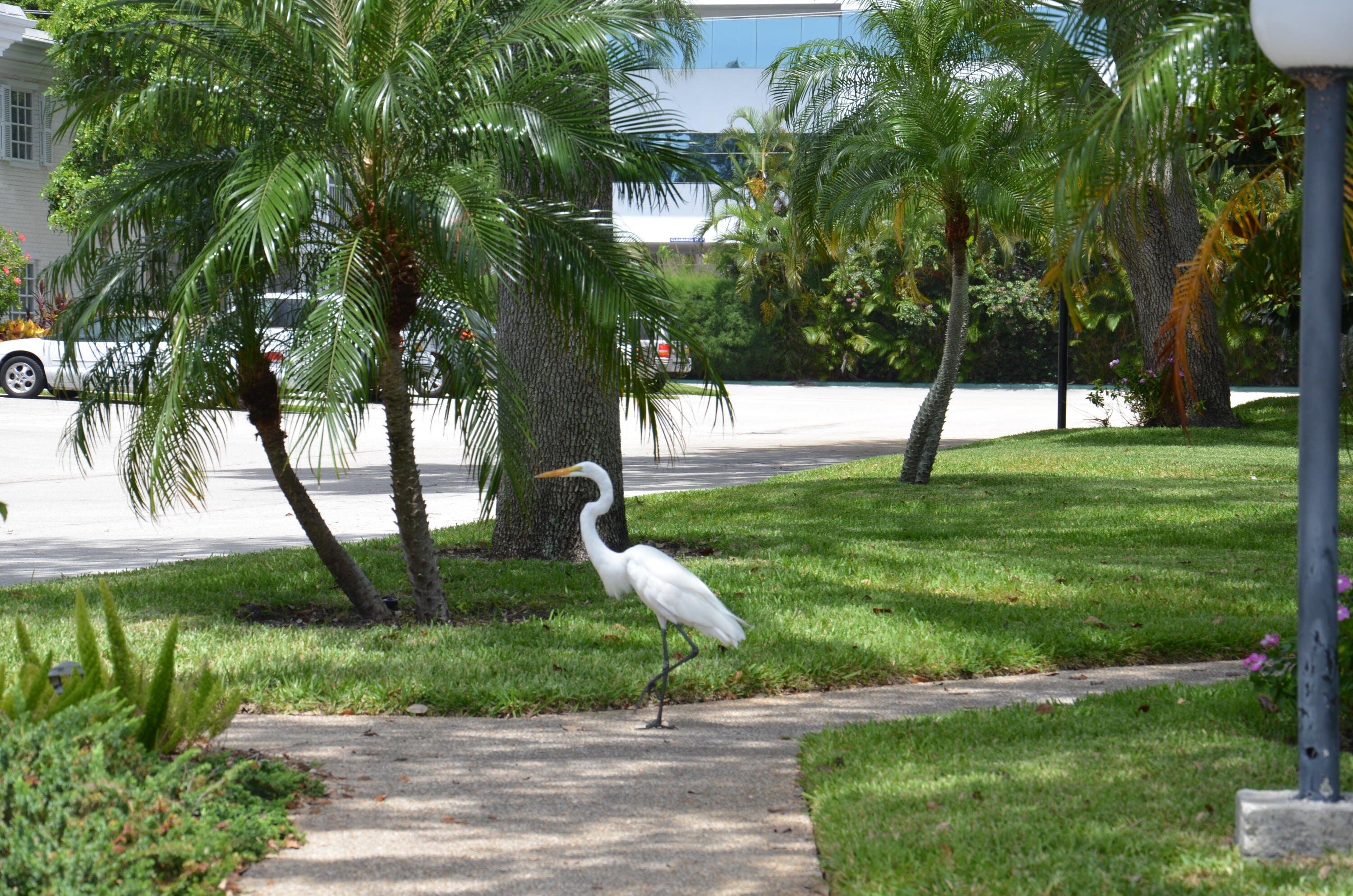 BAY COLONY CLUB CONDO - Residential