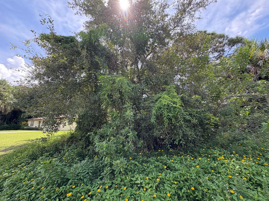 LAKEWOOD PARK-UNIT 7- BLK 75 W 1/2 OF LOT 23 AND A - Land