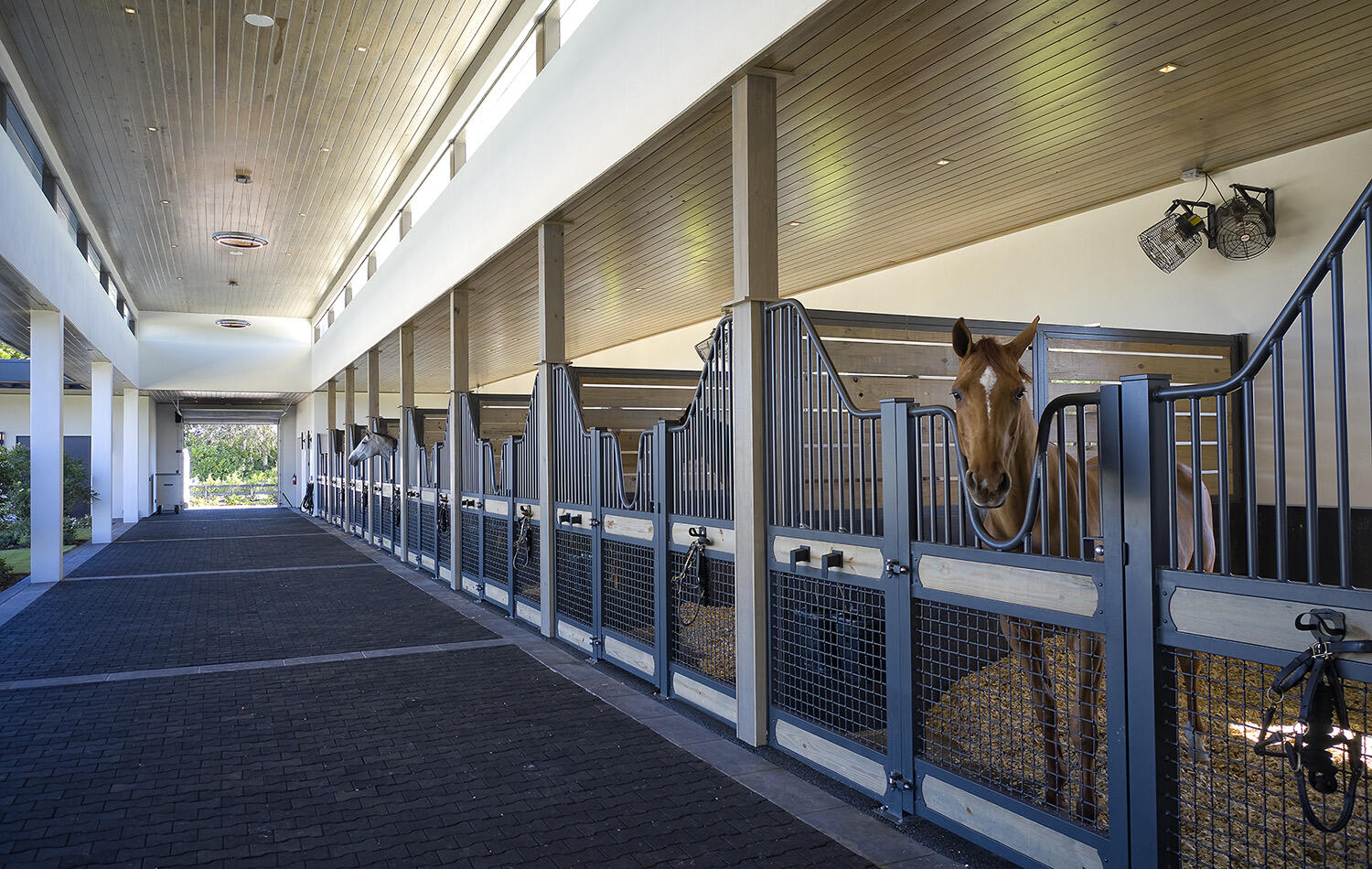 WELLINGTON PRESERVE - Residential