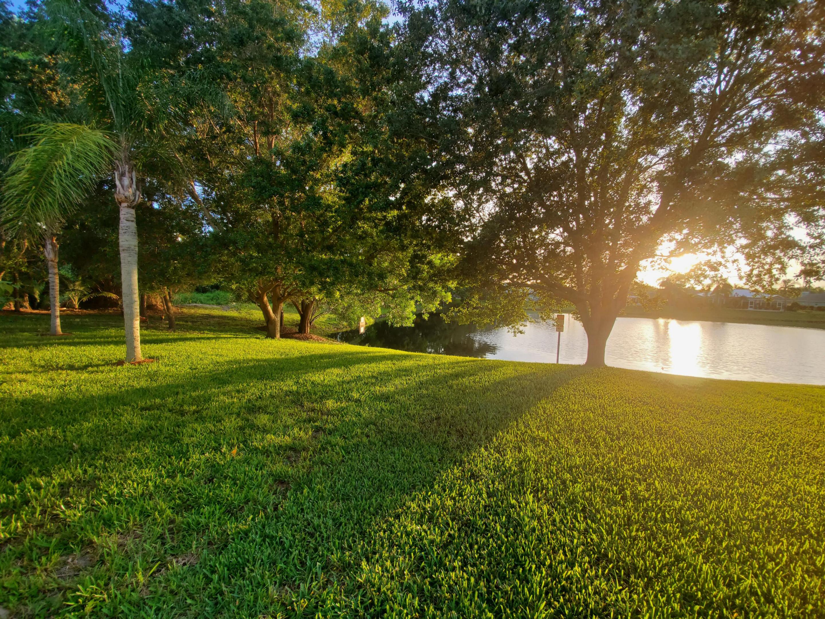 OLEANDER PINES - Residential