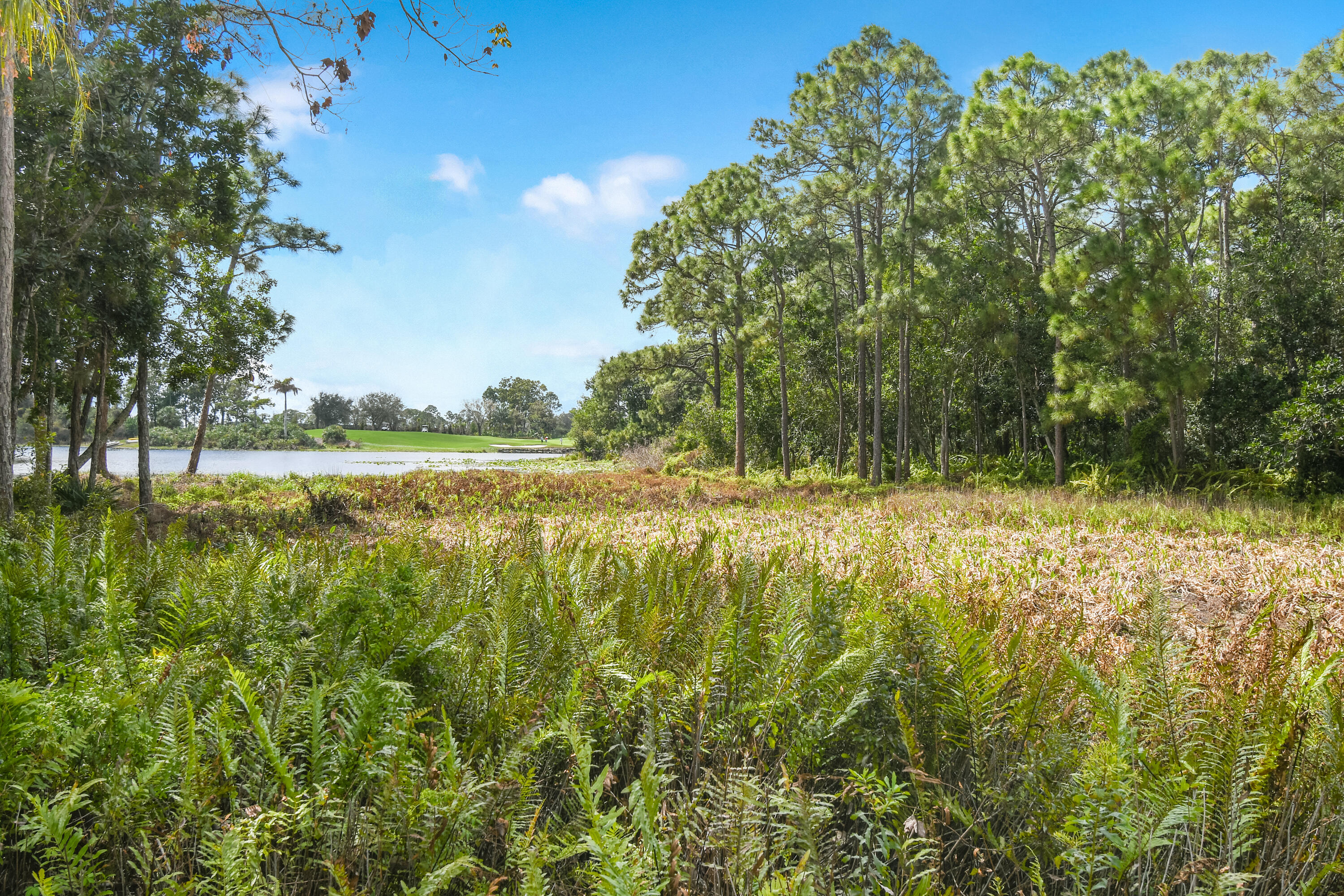 Harbour Ridge Yacht & Country Club - Fairway Villa - Residential