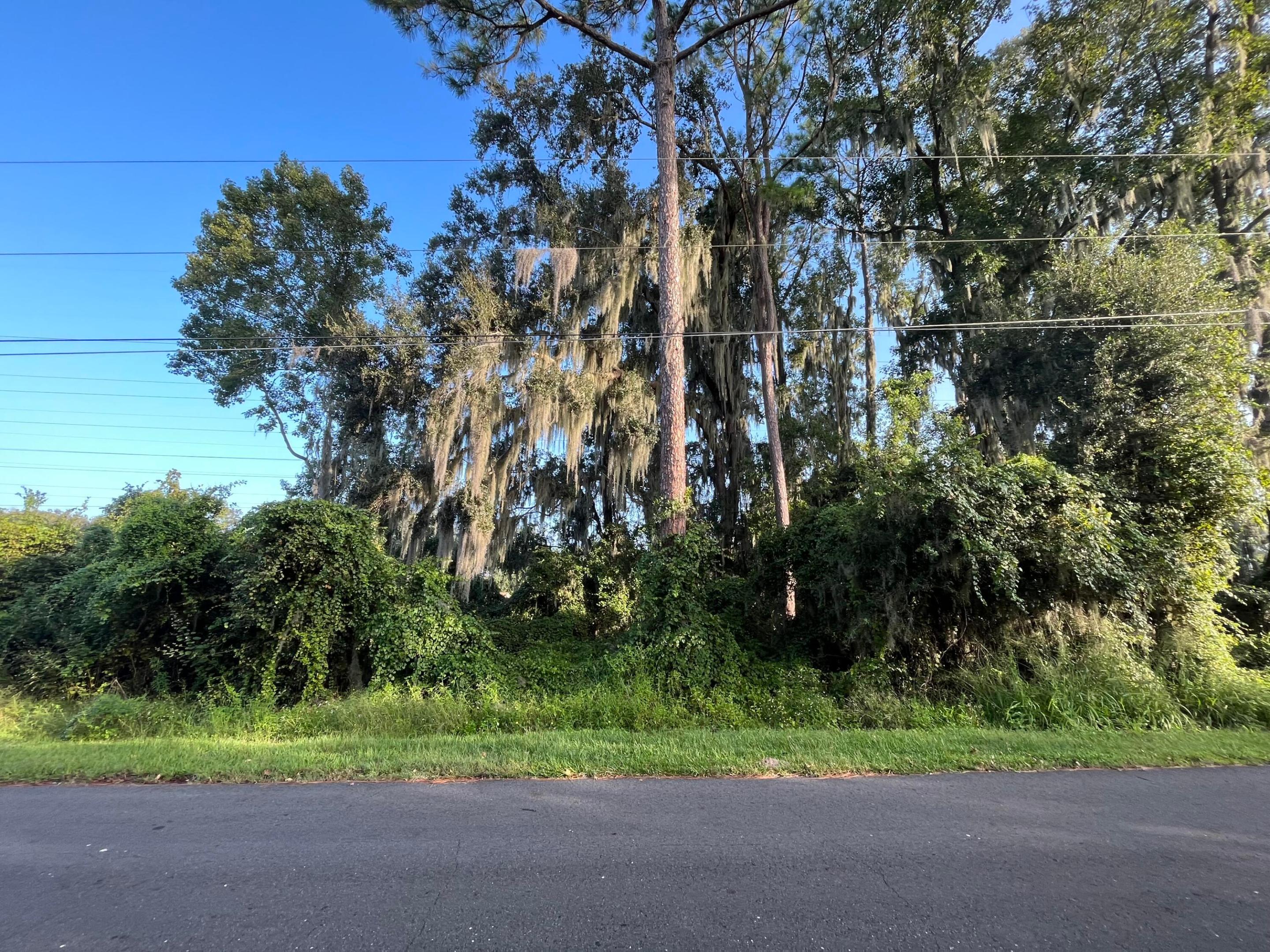 PLANTATION ESTATES UNIT 31 - Land