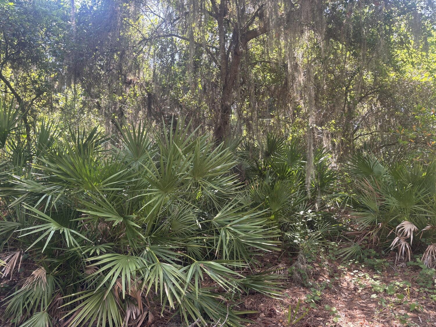 Highlands Park Estates - Land