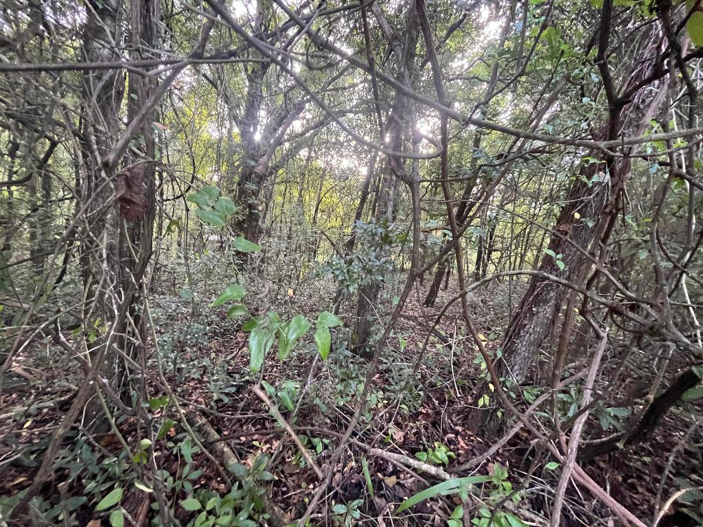 INTERLACHEN LAKES ESTATES - Land
