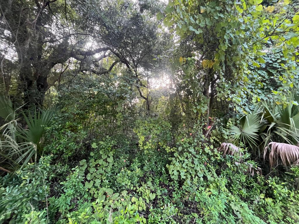 Owner financing is available! Build or bring your mobile home to this stunning lot in the growing city of Interlachen. With power lines already in place, accessing electricity is a breeze. Located within minutes of schools, restaurants, diners, and parks. An easy commute to Gainesville or Palatka and less than an hour from the beach. Investing in land in Florida is a wise choice for your future, whether you're looking to build your dream home, a vacation getaway, a rental property, or simply let the land appreciate as a valuable long-term asset to resell at a profit in the future.