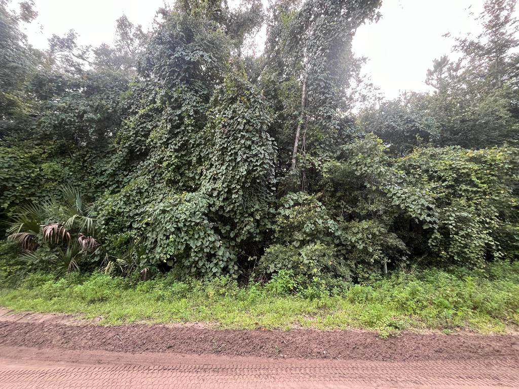 INTERLACHEN LAKES ESTATES - Land