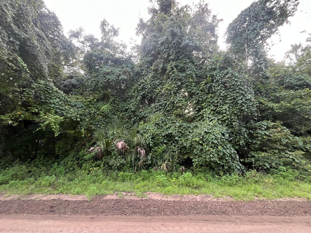 INTERLACHEN LAKES ESTATES - Land