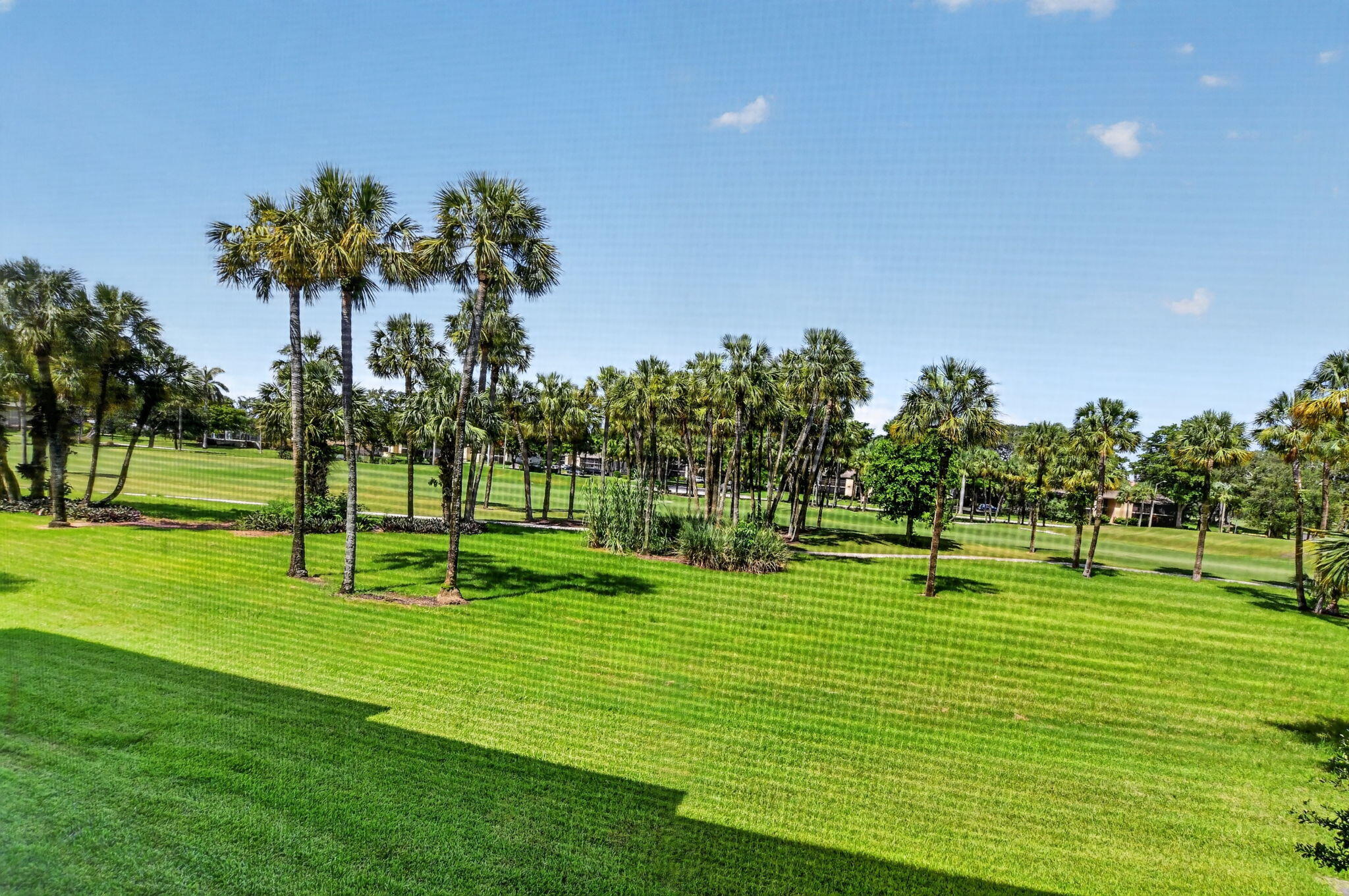 The Palms of Deer Creek - Residential