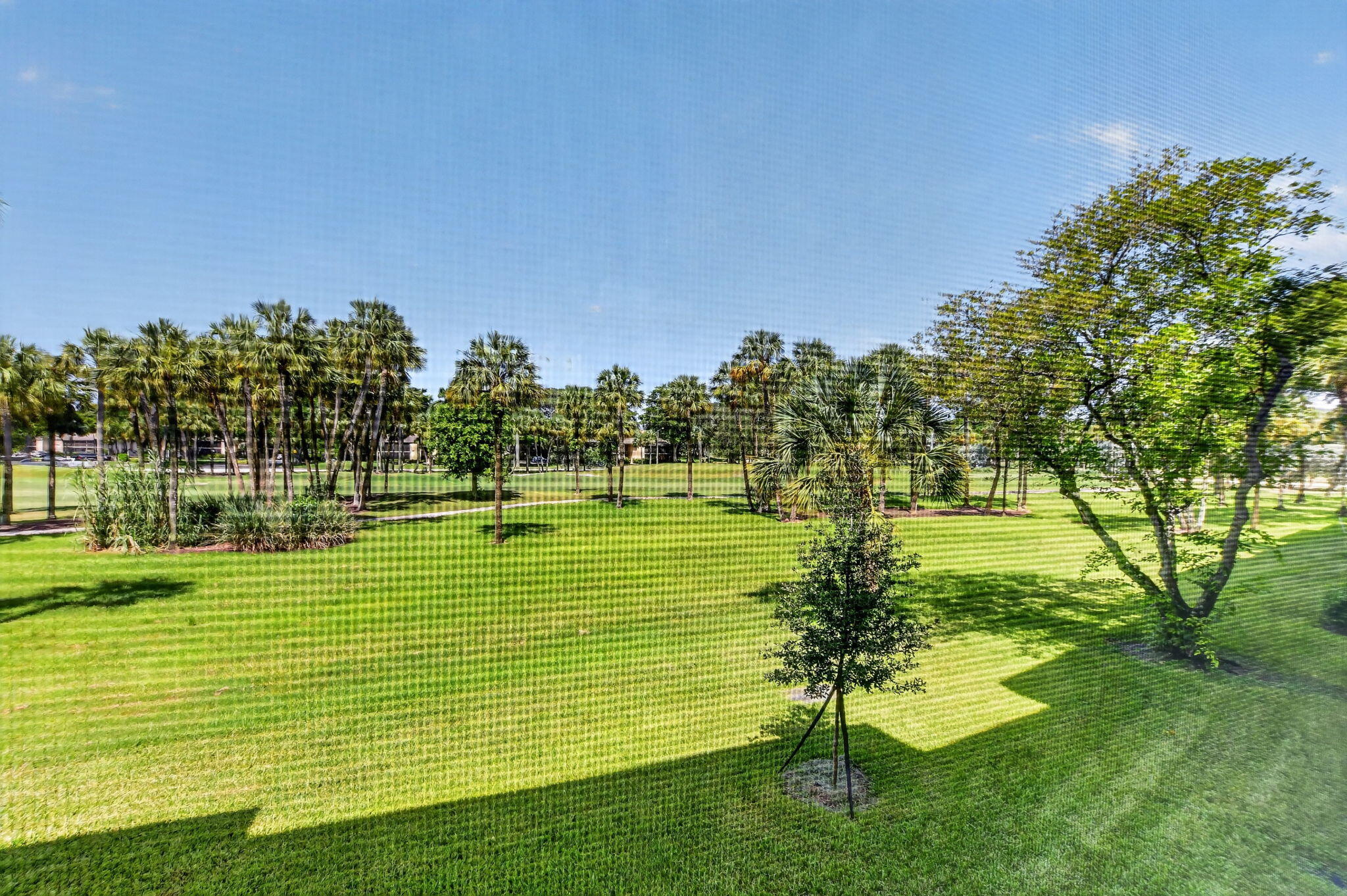 The Palms of Deer Creek - Residential