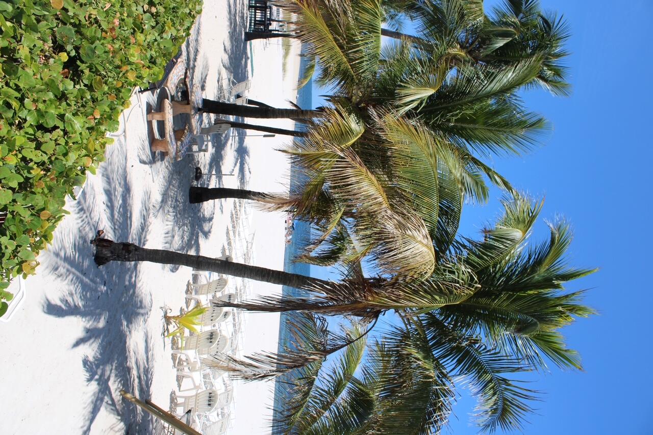 POMPANO AEGEAN CONDO - Residential