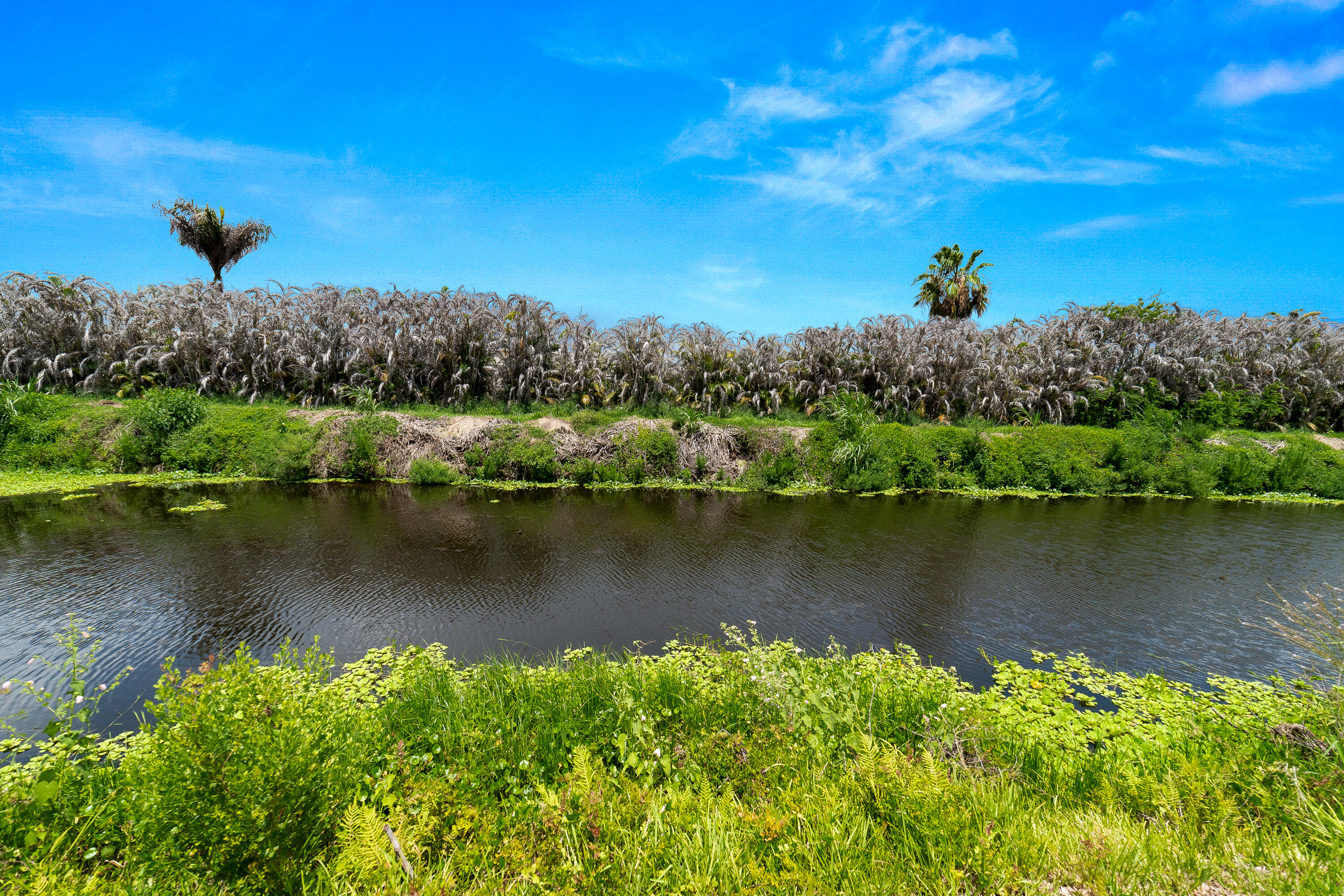 SEMINOLE COVE CONDOMINIUM - Residential