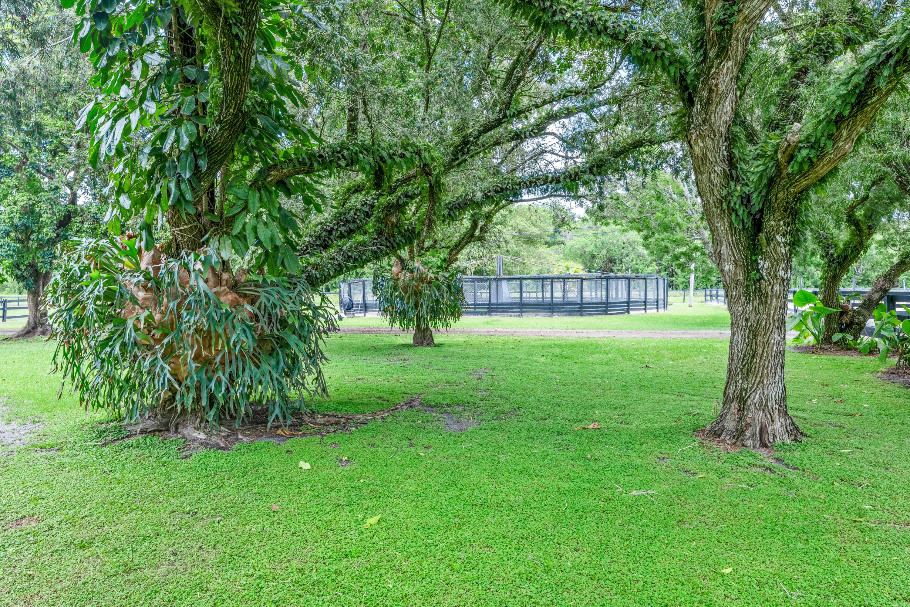 LOXAHATCHEE GROVES - Residential