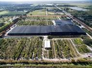 THIS PRIME 38.5+ ACRES PROPERTY ON NORTH SIDE OF 50TH ST SO IS ONE OF THE LARGEST PARCELS AVAILABLE IN WELLINGTON CLOSE TO WEF. PARTIALLY CLEARED WITH OPERATING TREE NURSERY ON SITE, CURRENTLY DIVIDED INTO THREE PARCEL NUMBERS. EXCELLENT OPPORTUNITY FOR D EVELOPMENT AS EQUESTRIAN. BY APPOINTMENT ONLY, LISTING AGENT MUST ACCOMPANY ALL SHOWINGS.