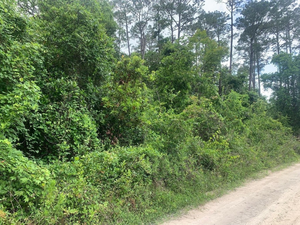 St. John’s Riverside Estates - Land